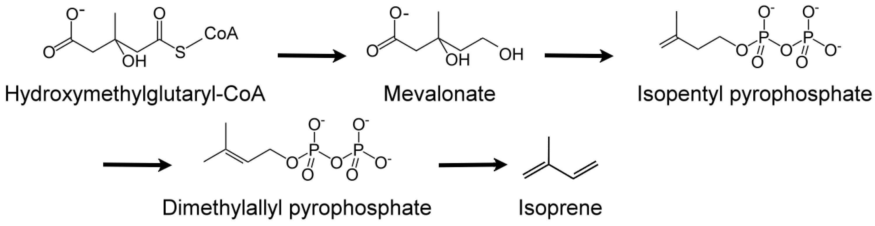 Metabolites 07 00039 g008