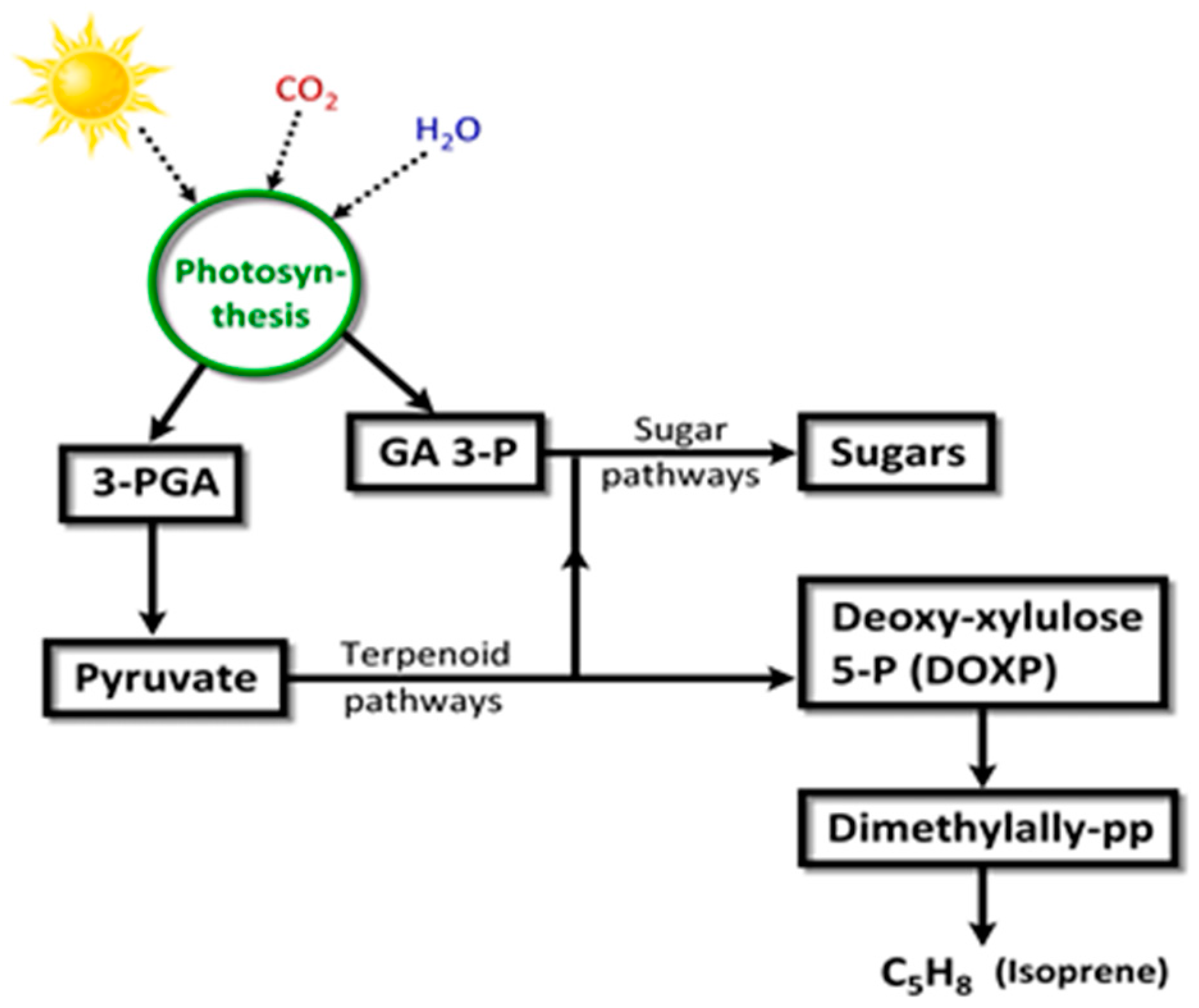 Metabolites 07 00039 g009