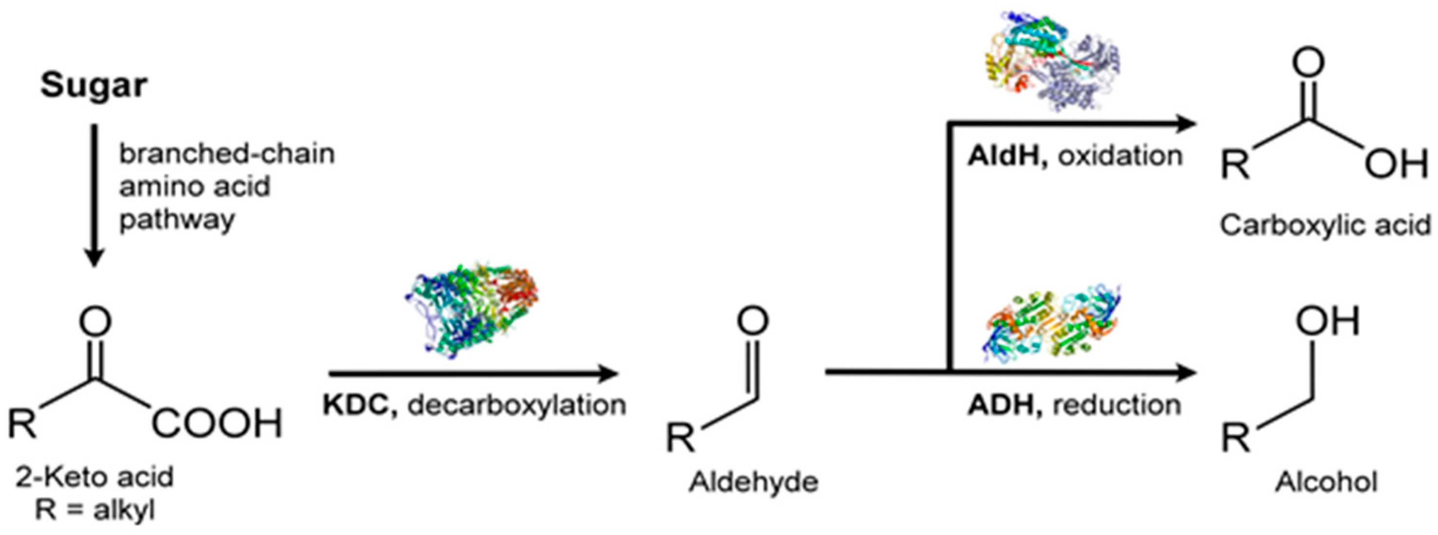 Metabolites 07 00039 g012