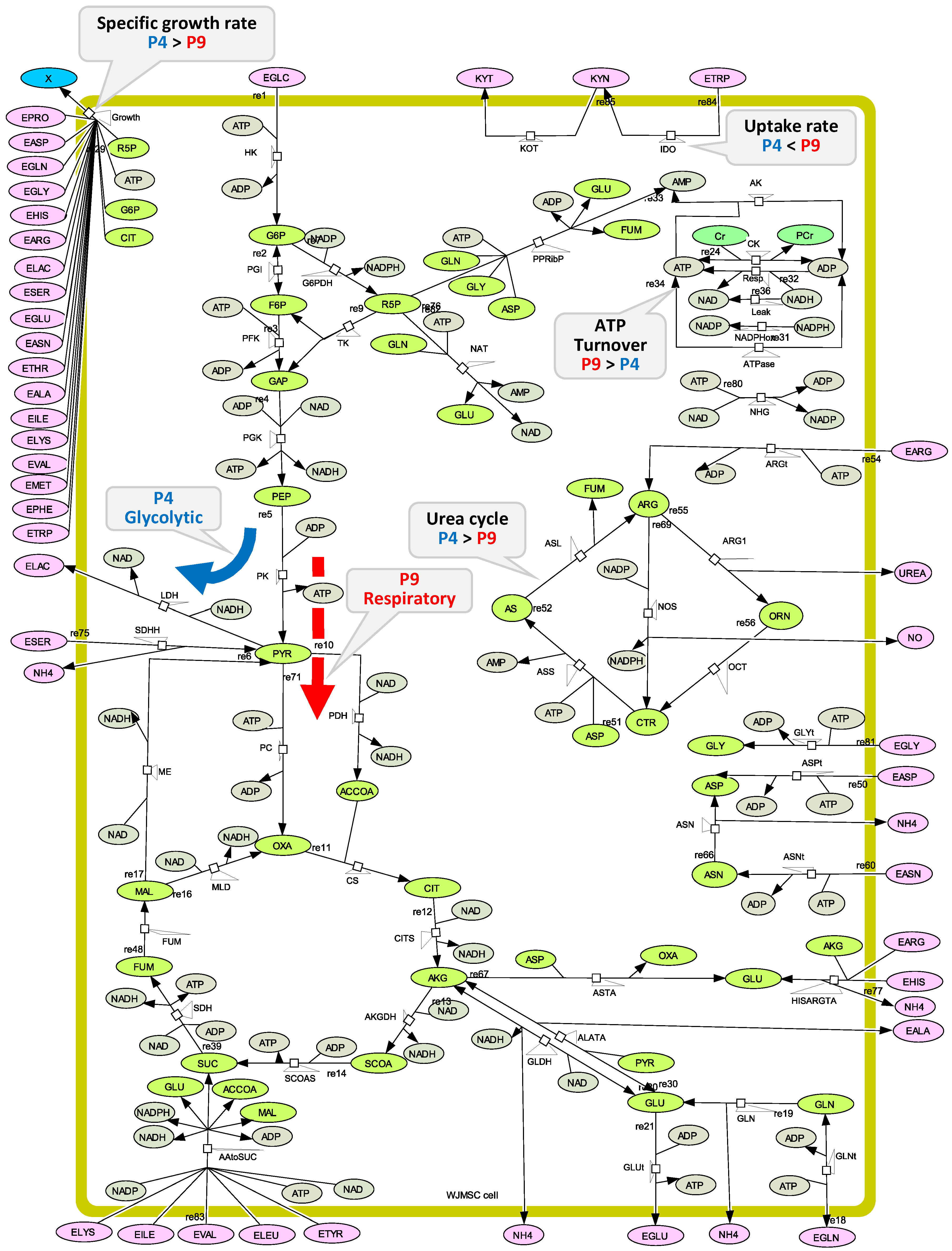 Metabolites 08 00018 g018