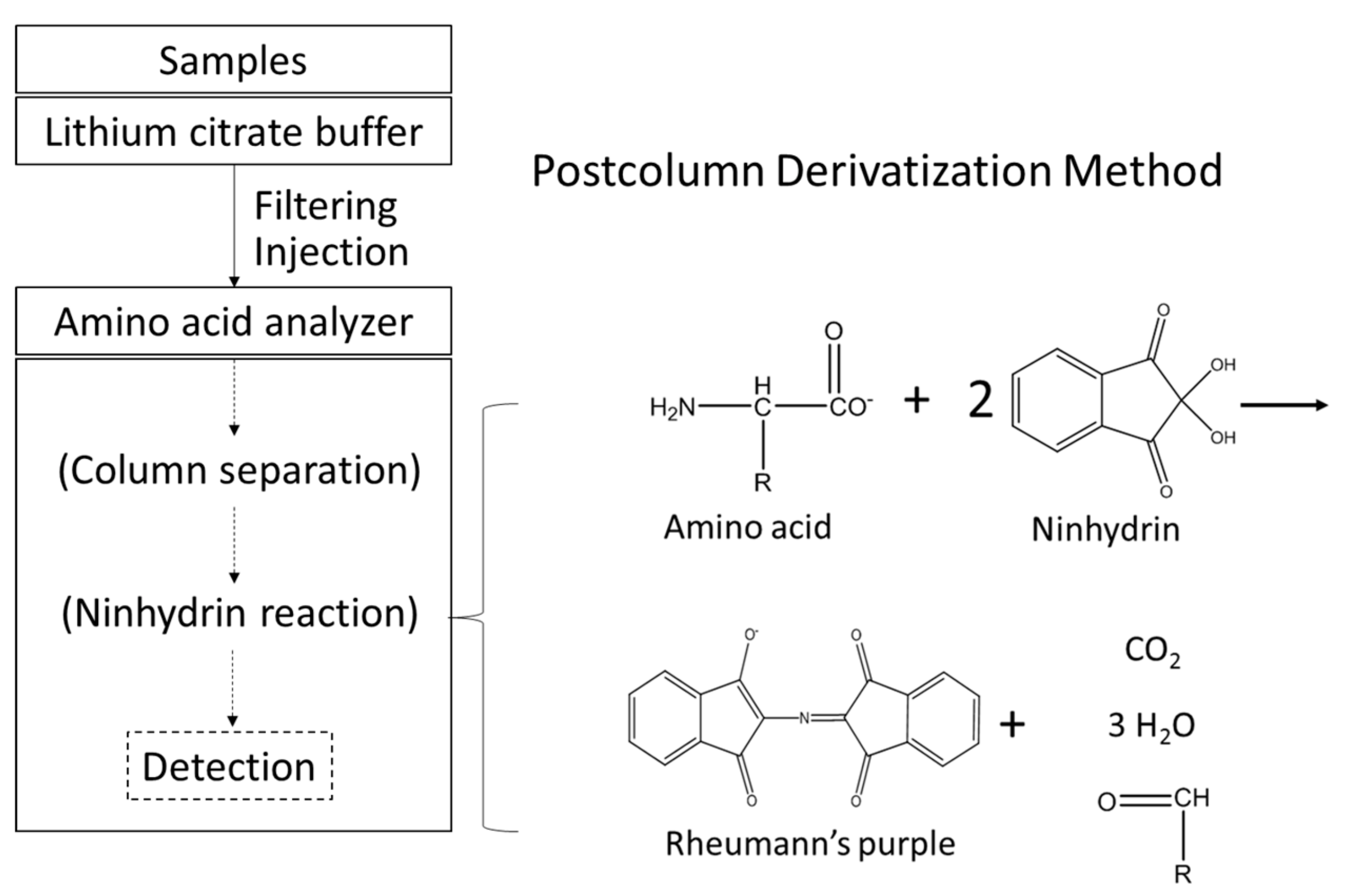 Metabolites 09 00192 g001