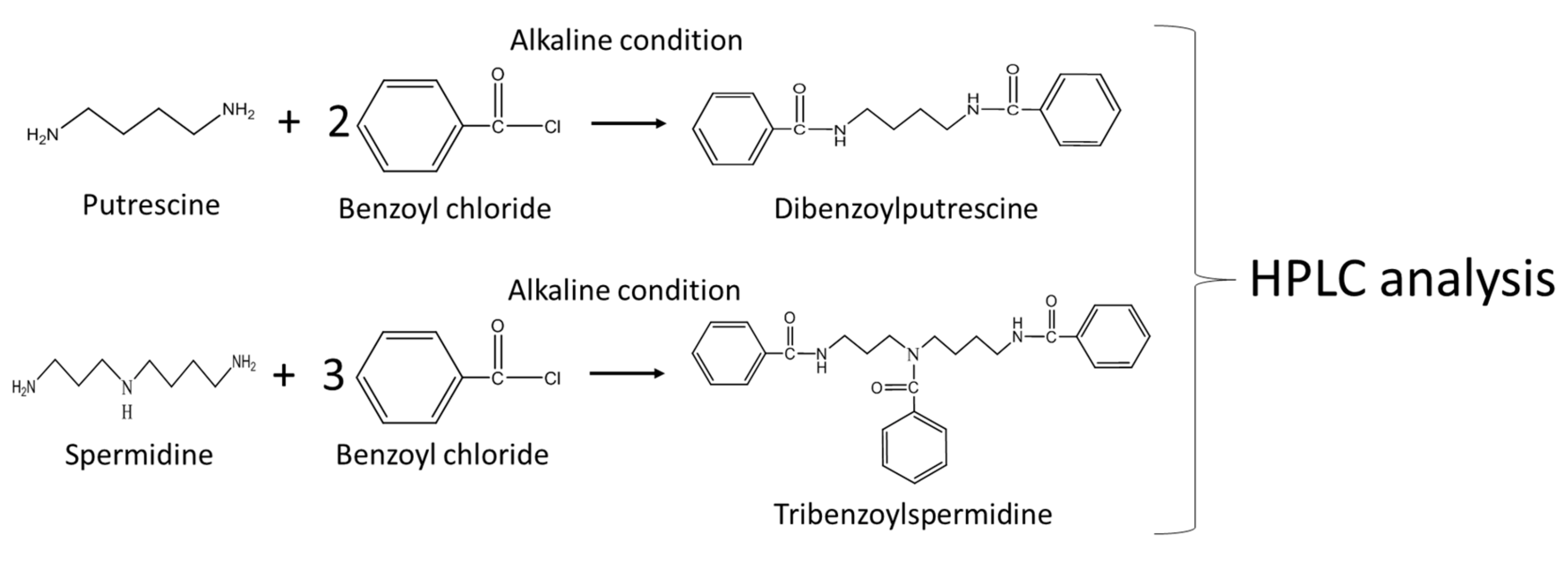 Metabolites 09 00192 g002