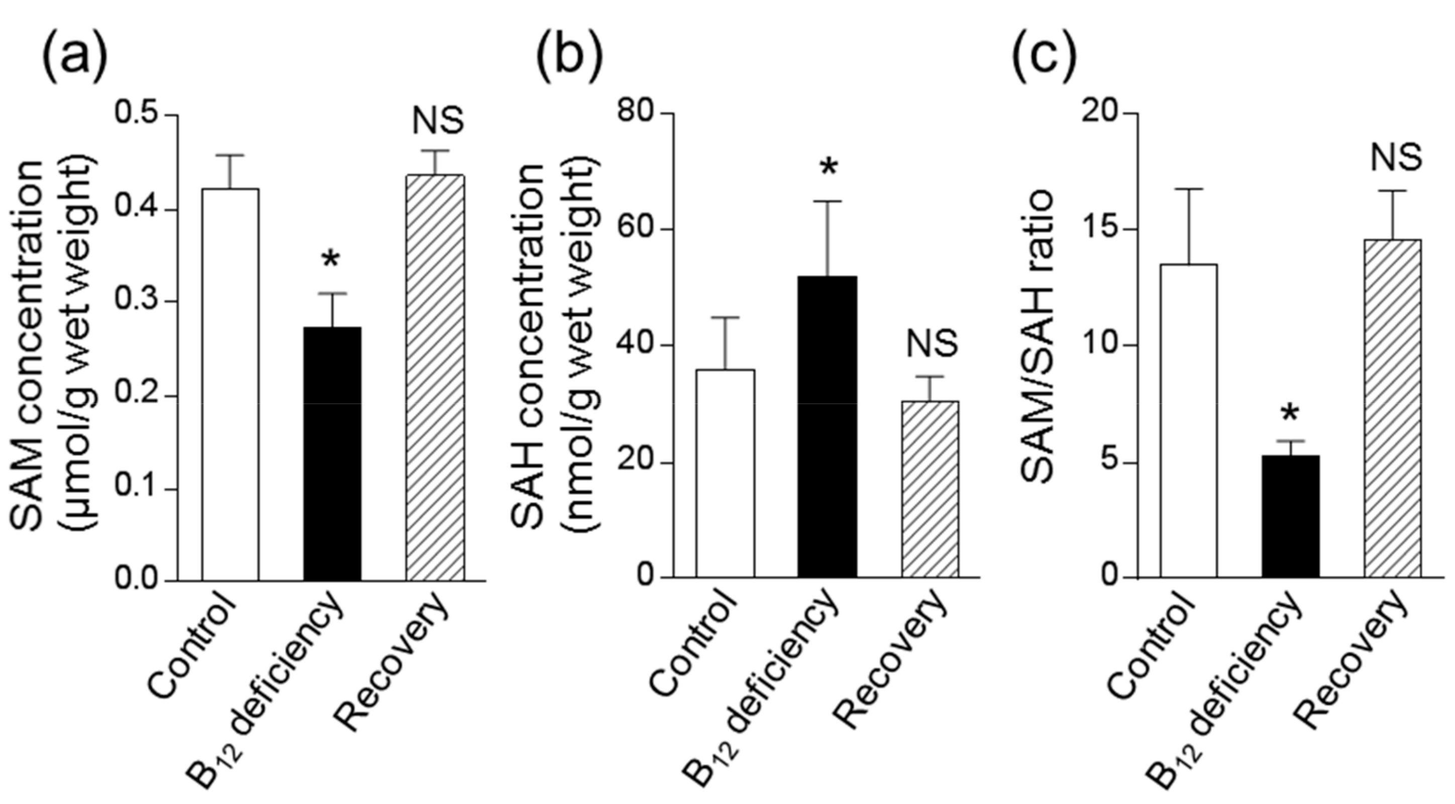 Metabolites 09 00192 g005