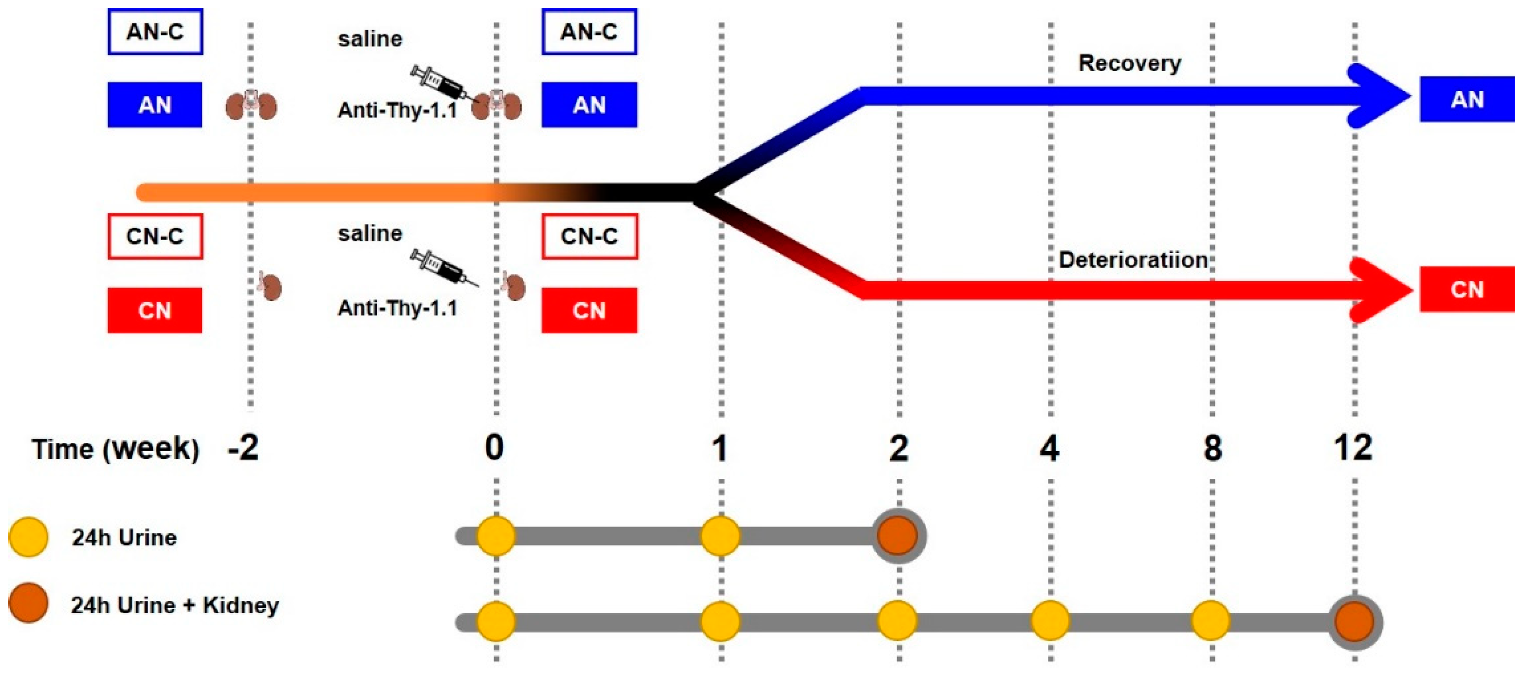 Metabolites 10 00169 g002
