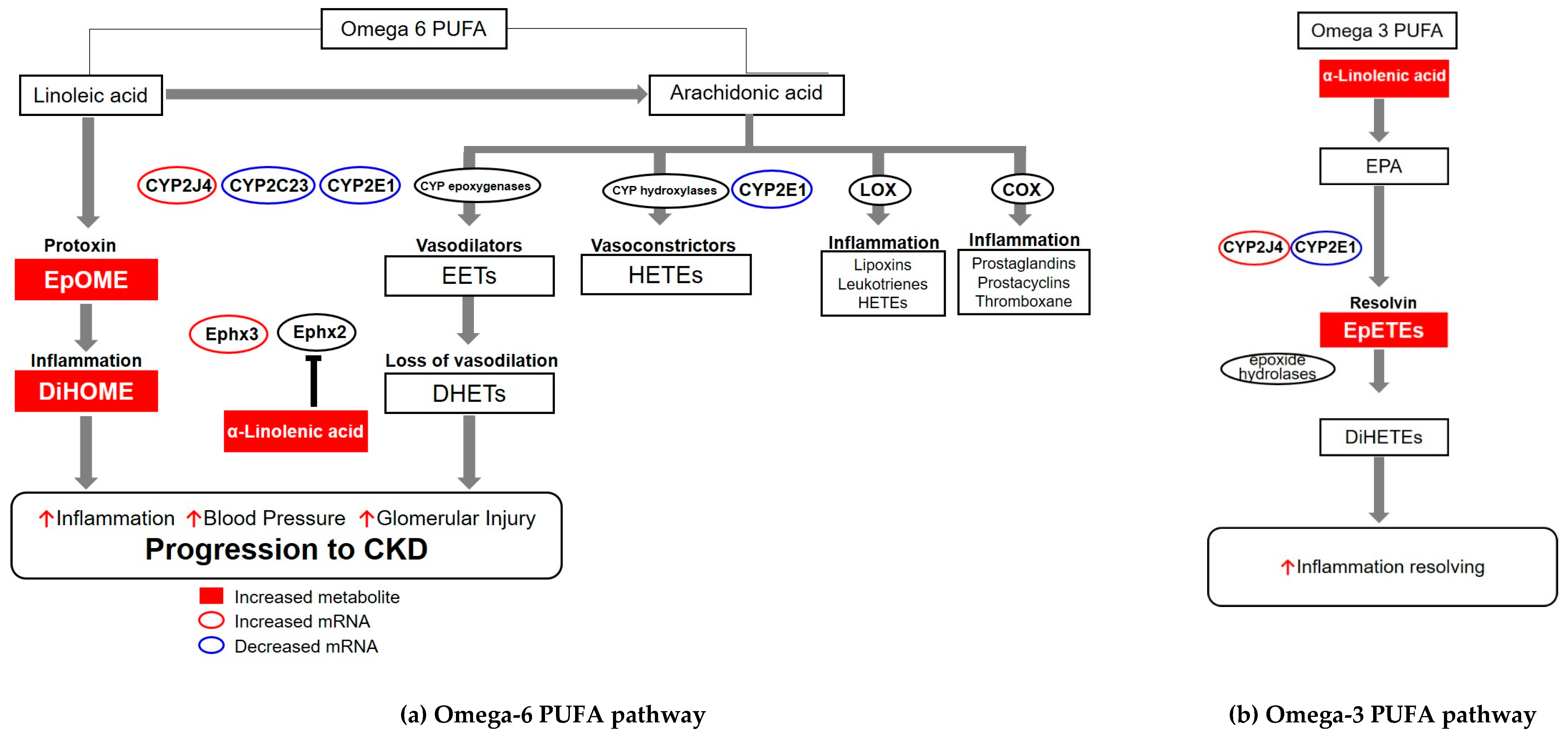 Metabolites 10 00169 g008