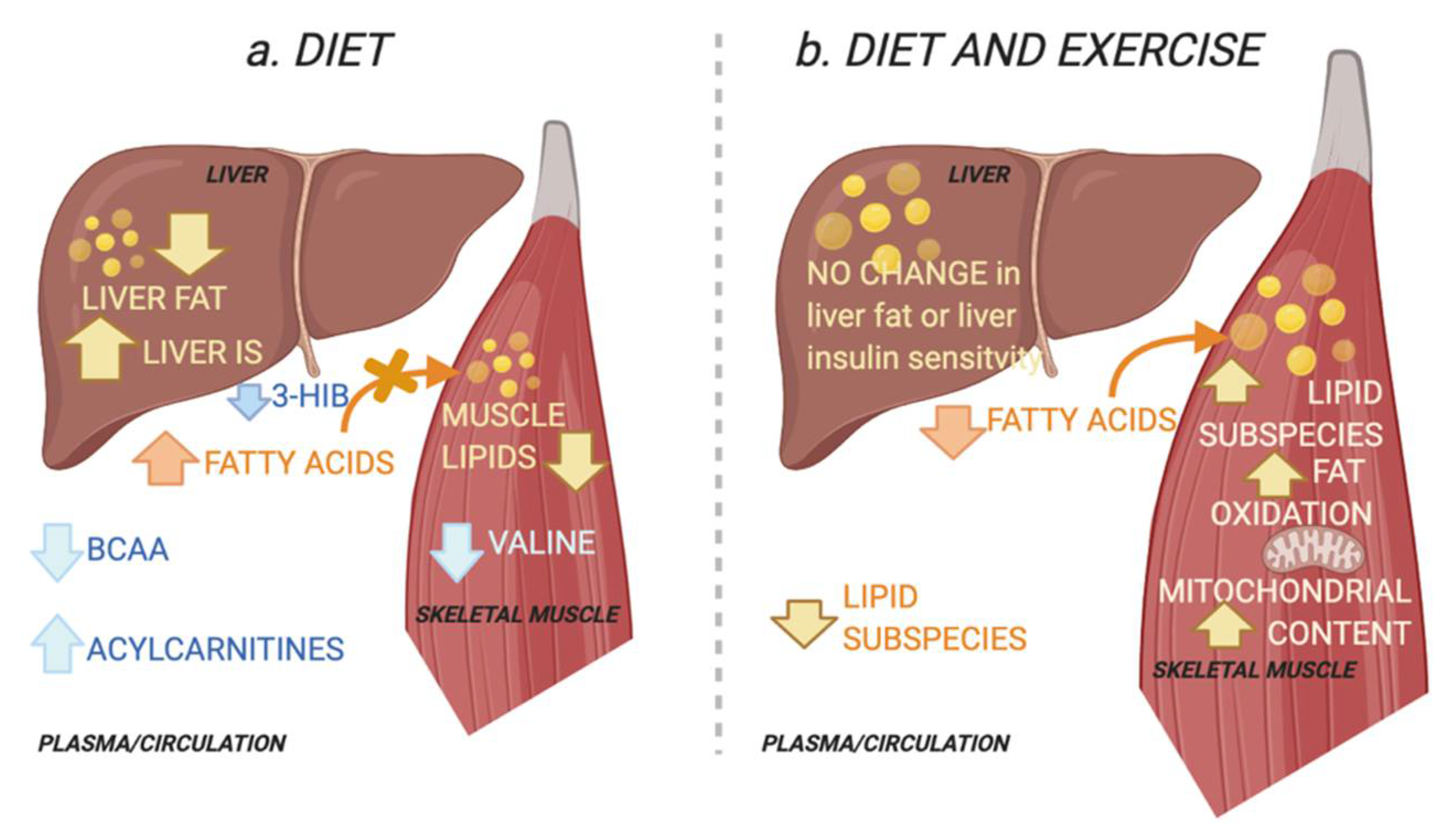Metabolites 11 00834 g005