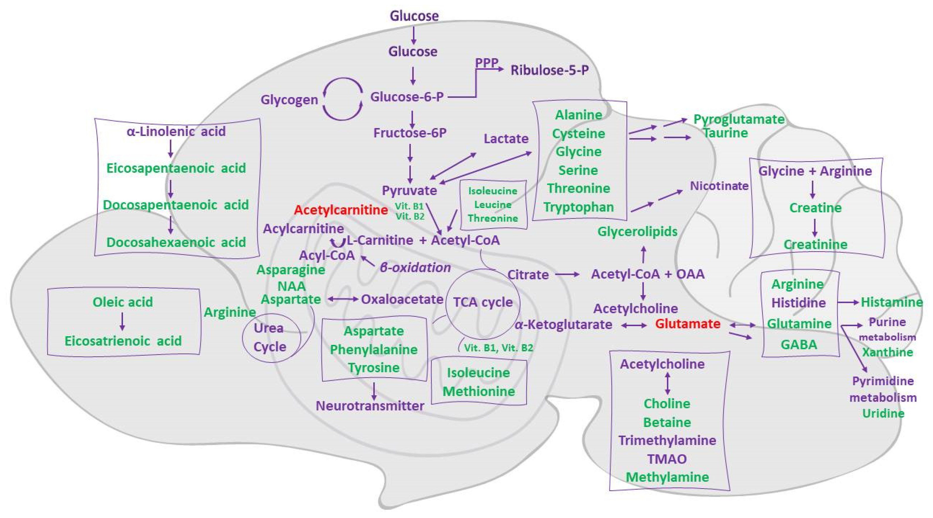 Metabolites 12 01039 g005