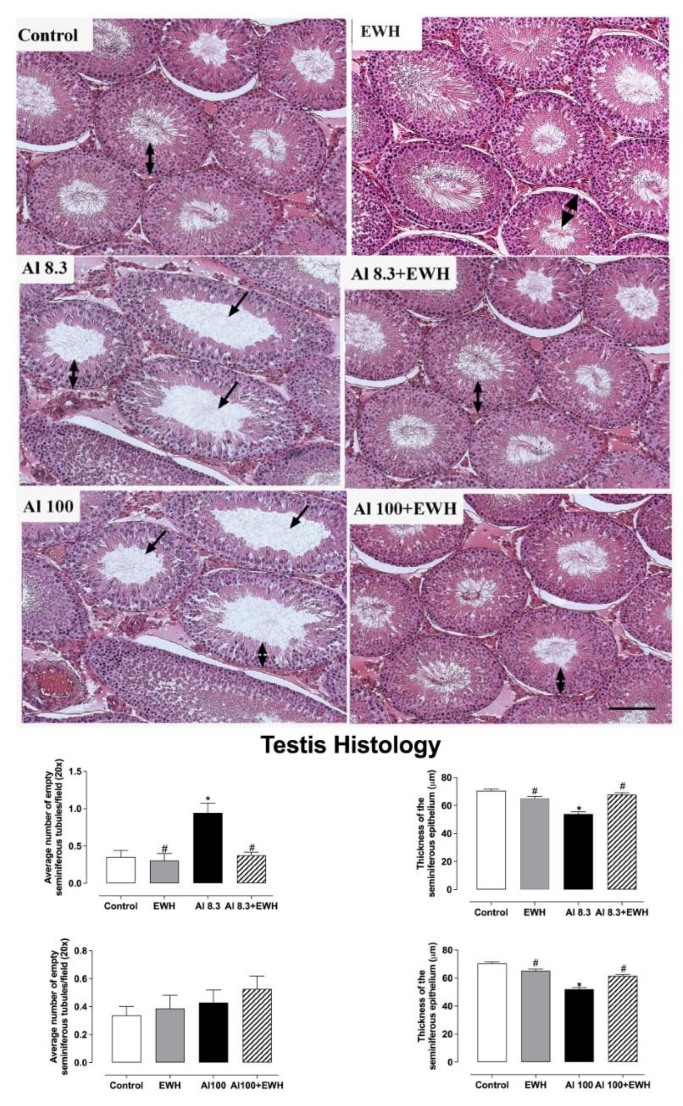 Metabolites 12 01188 g003 Metabolites 12 01188 g003