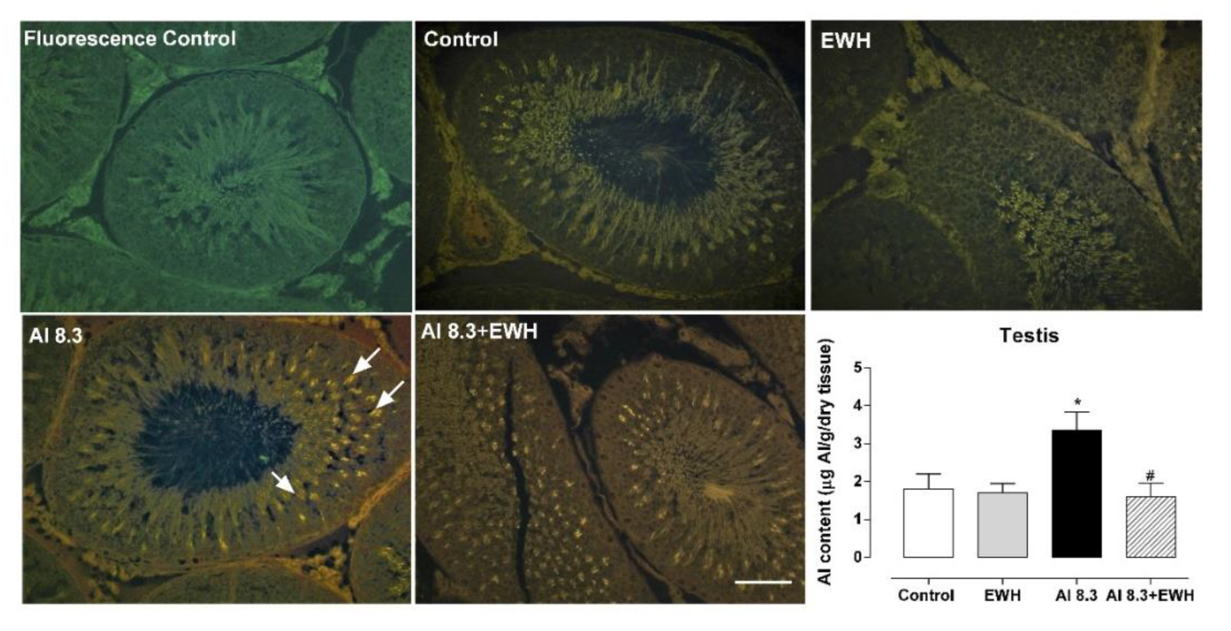Metabolites 12 01188 g006 Metabolites 12 01188 g006