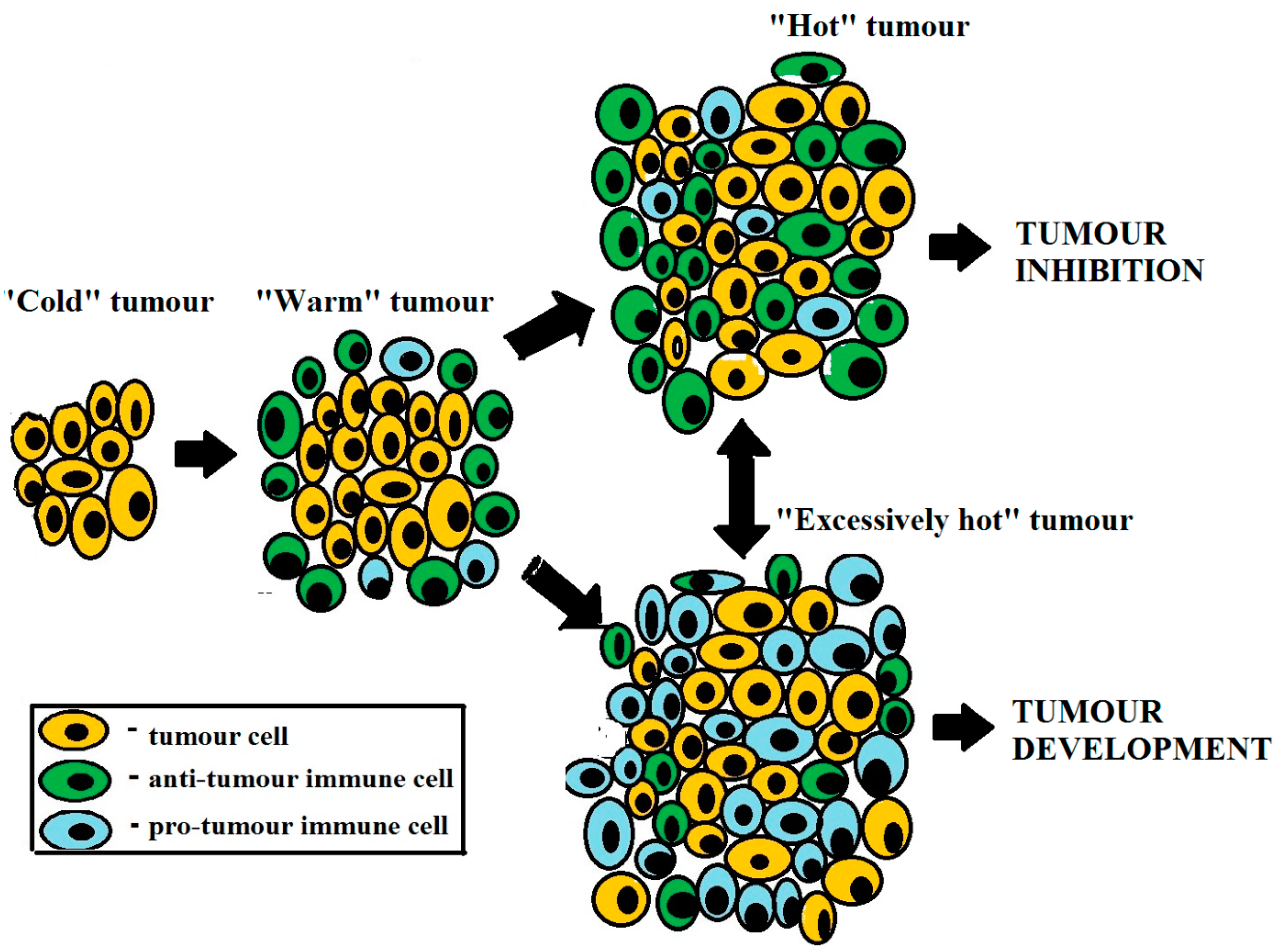 Metabolites 13 00123 g001