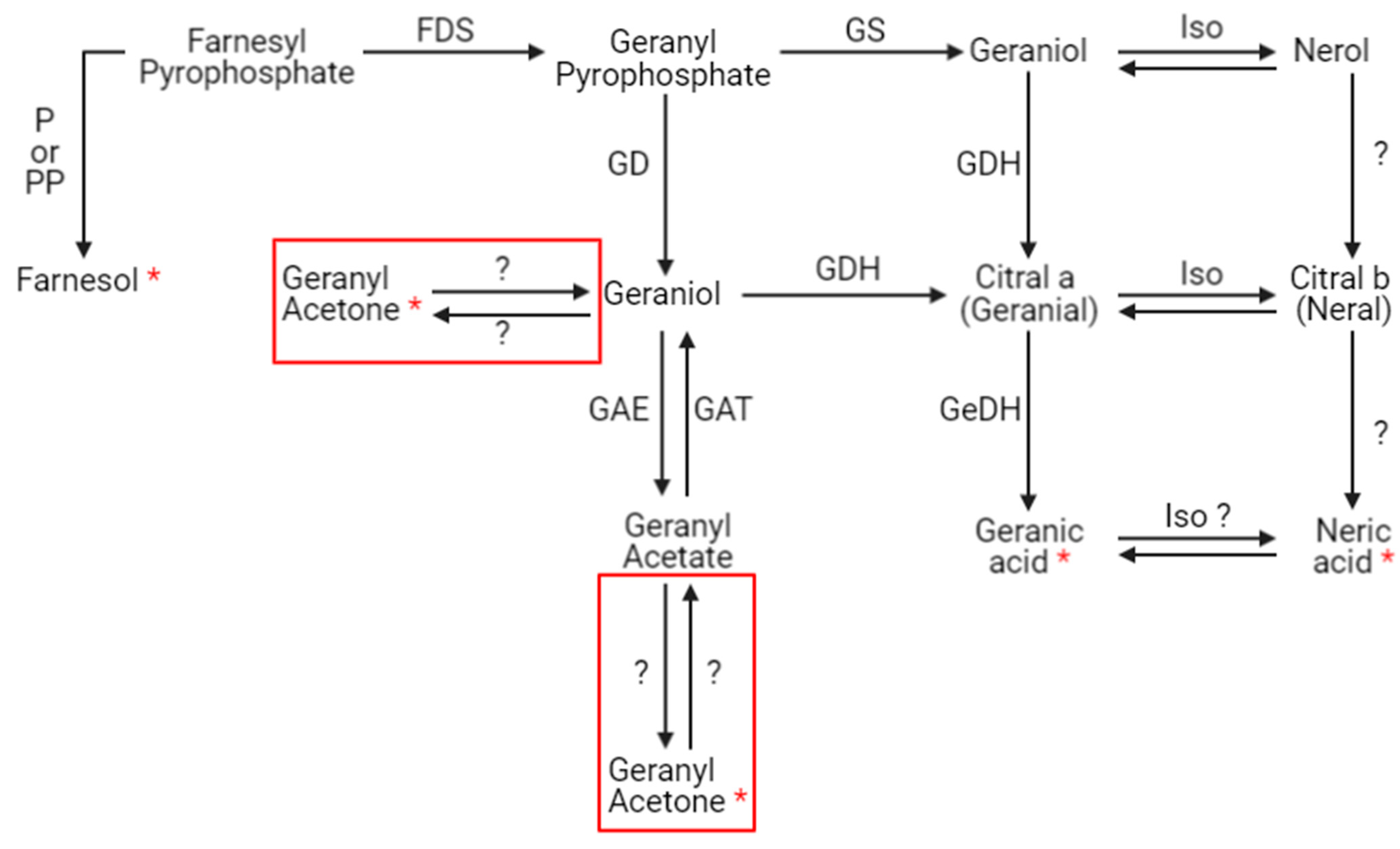 Metabolites 13 00185 g007