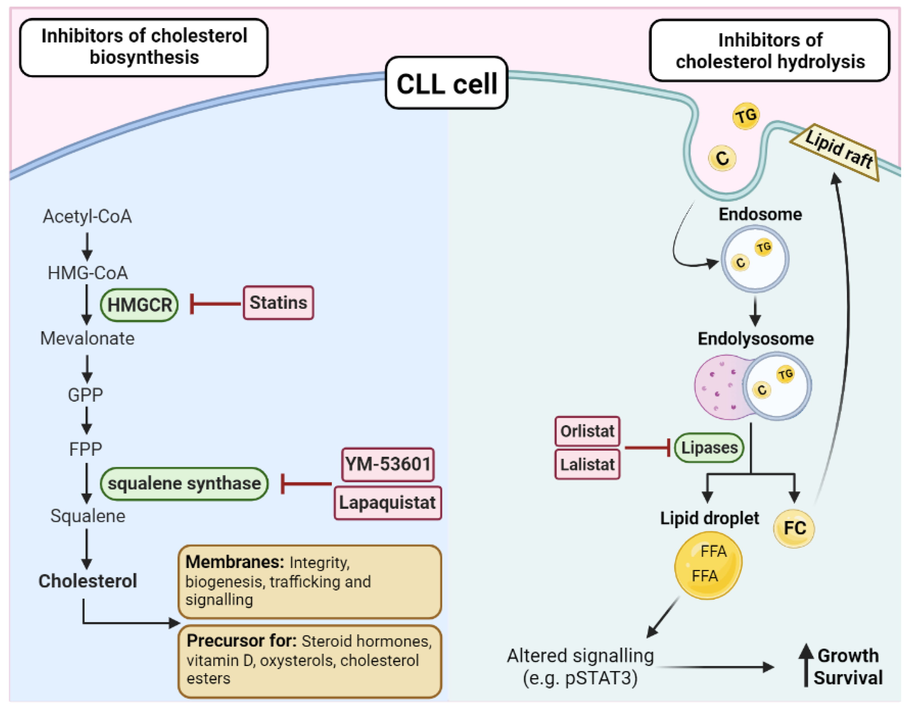 Metabolites 13 00799 g004