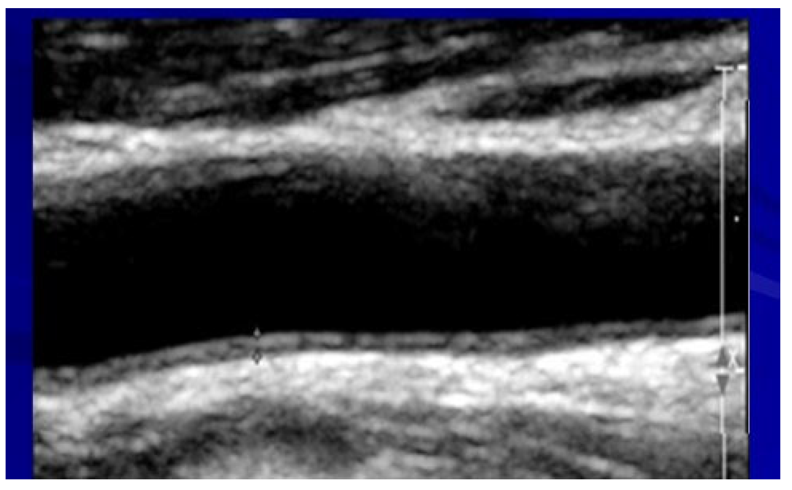 Metabolites 13 00896 g003