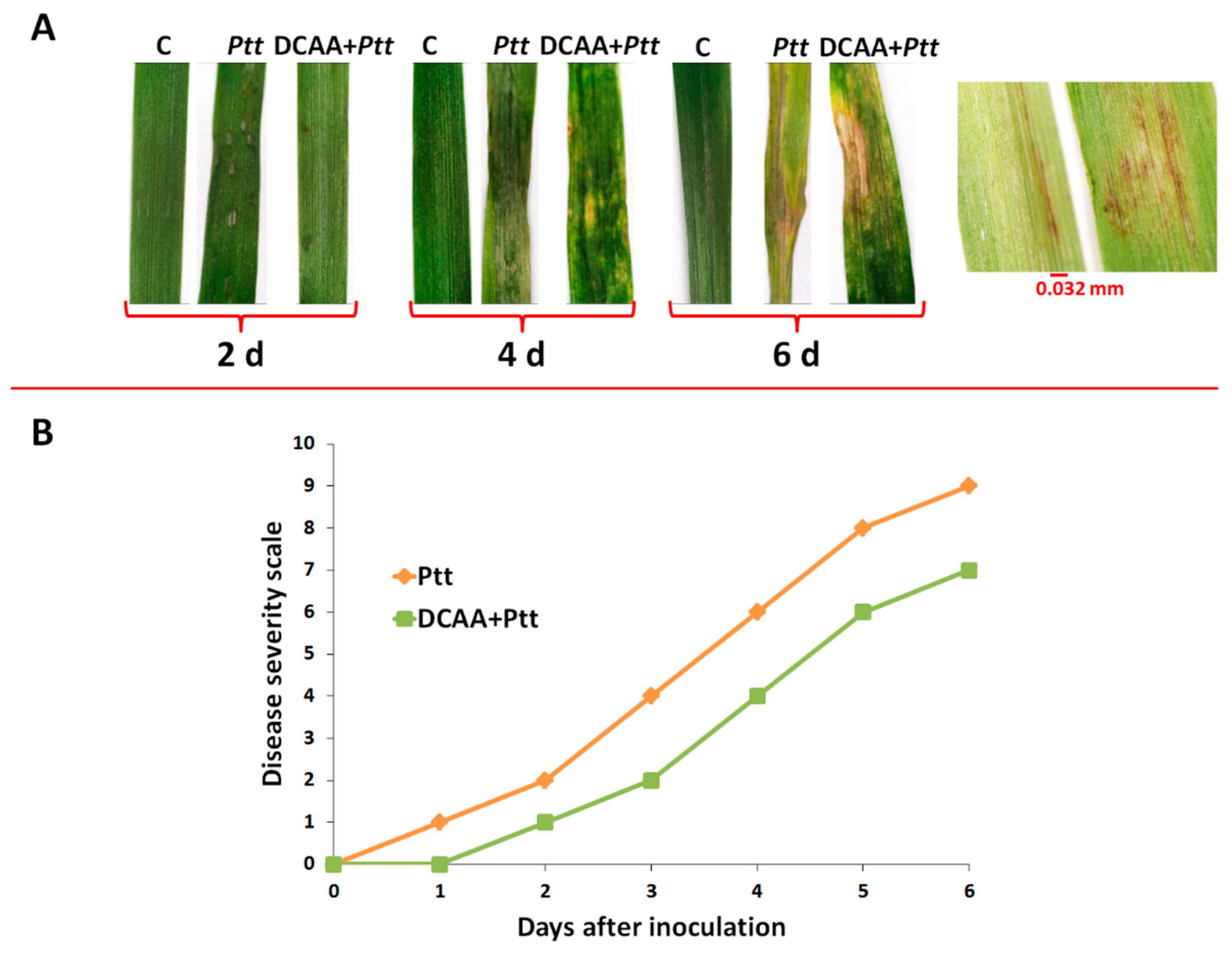 Metabolites 13 00997 g001