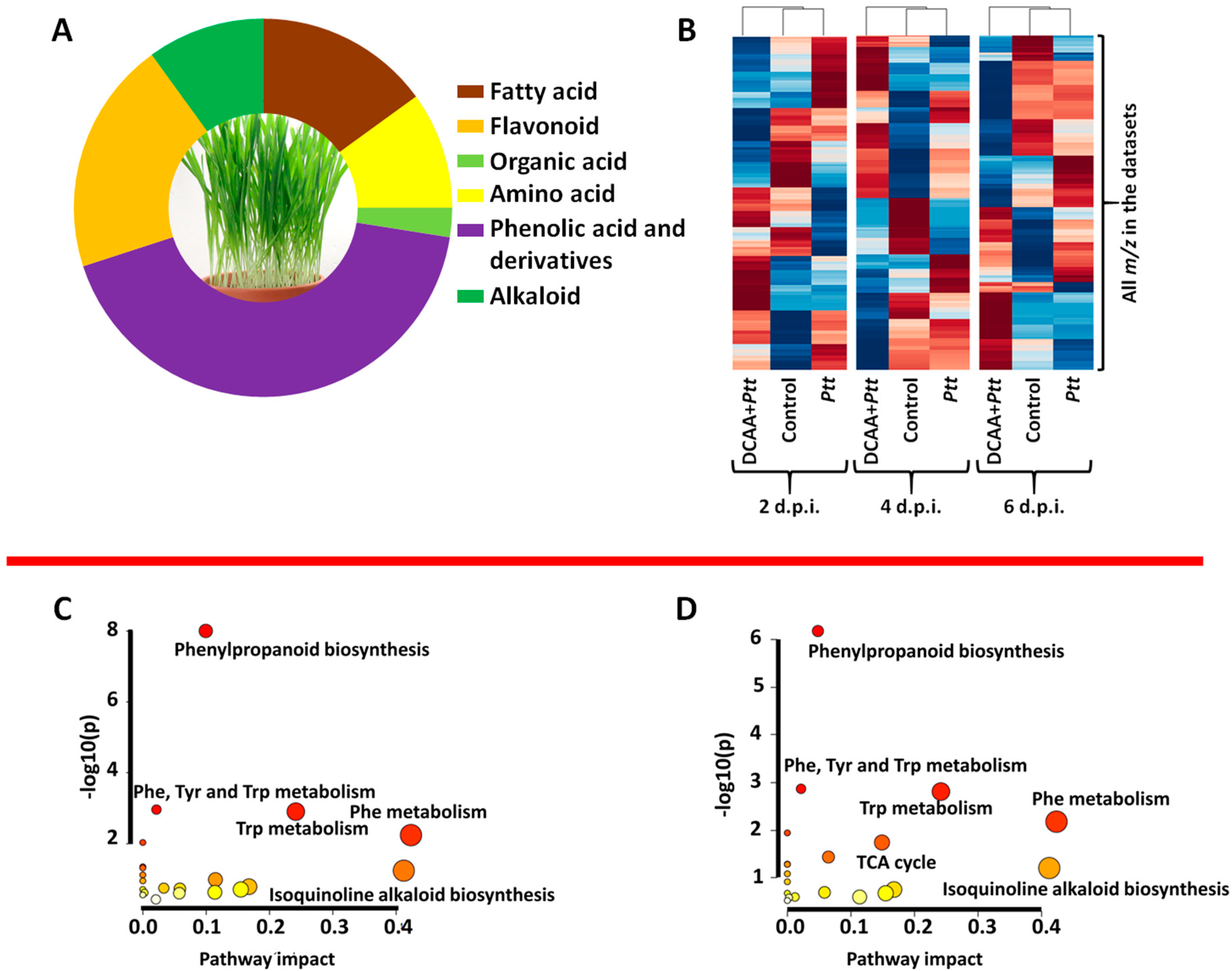 Metabolites 13 00997 g004