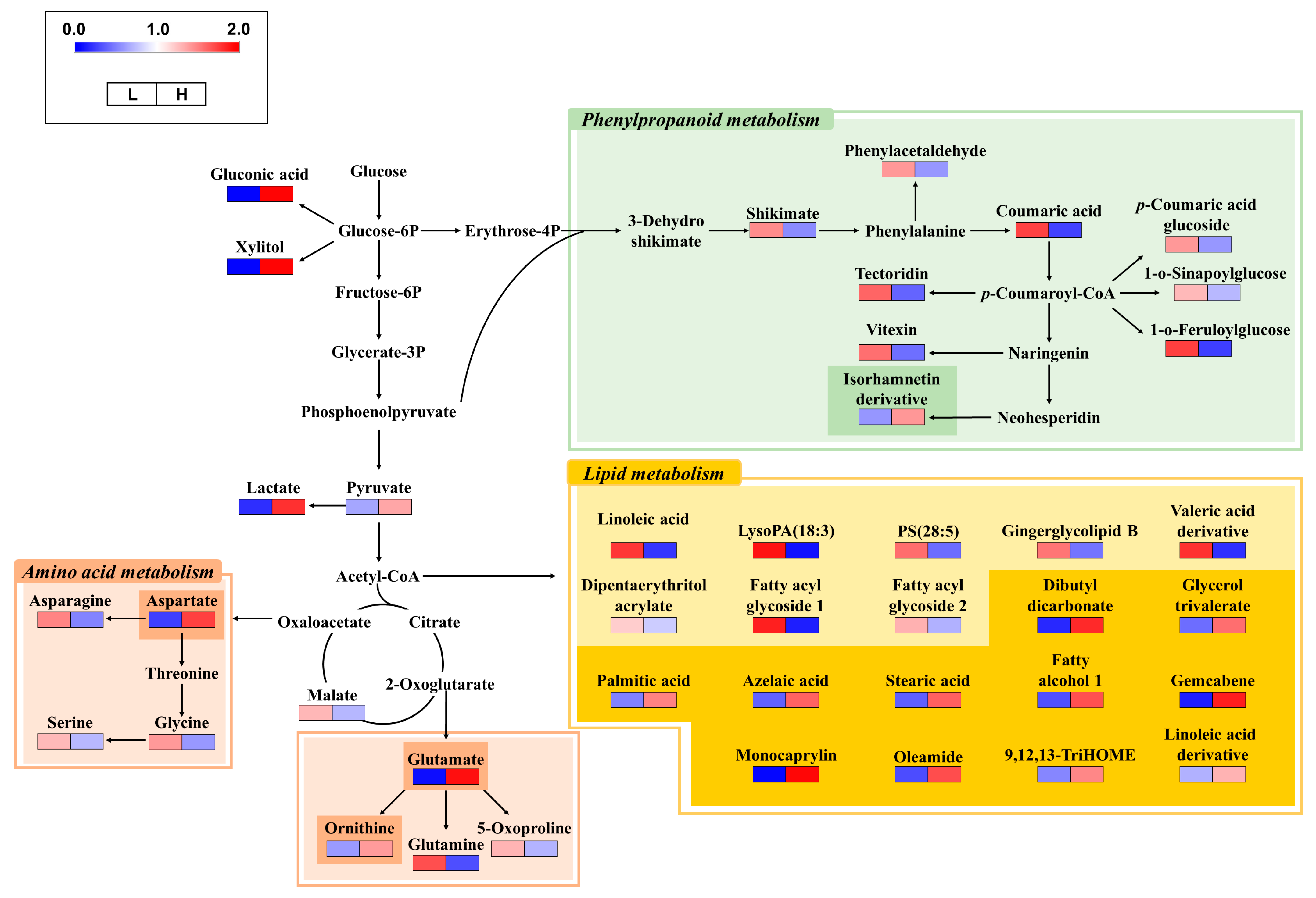 Metabolites 14 00102 g002