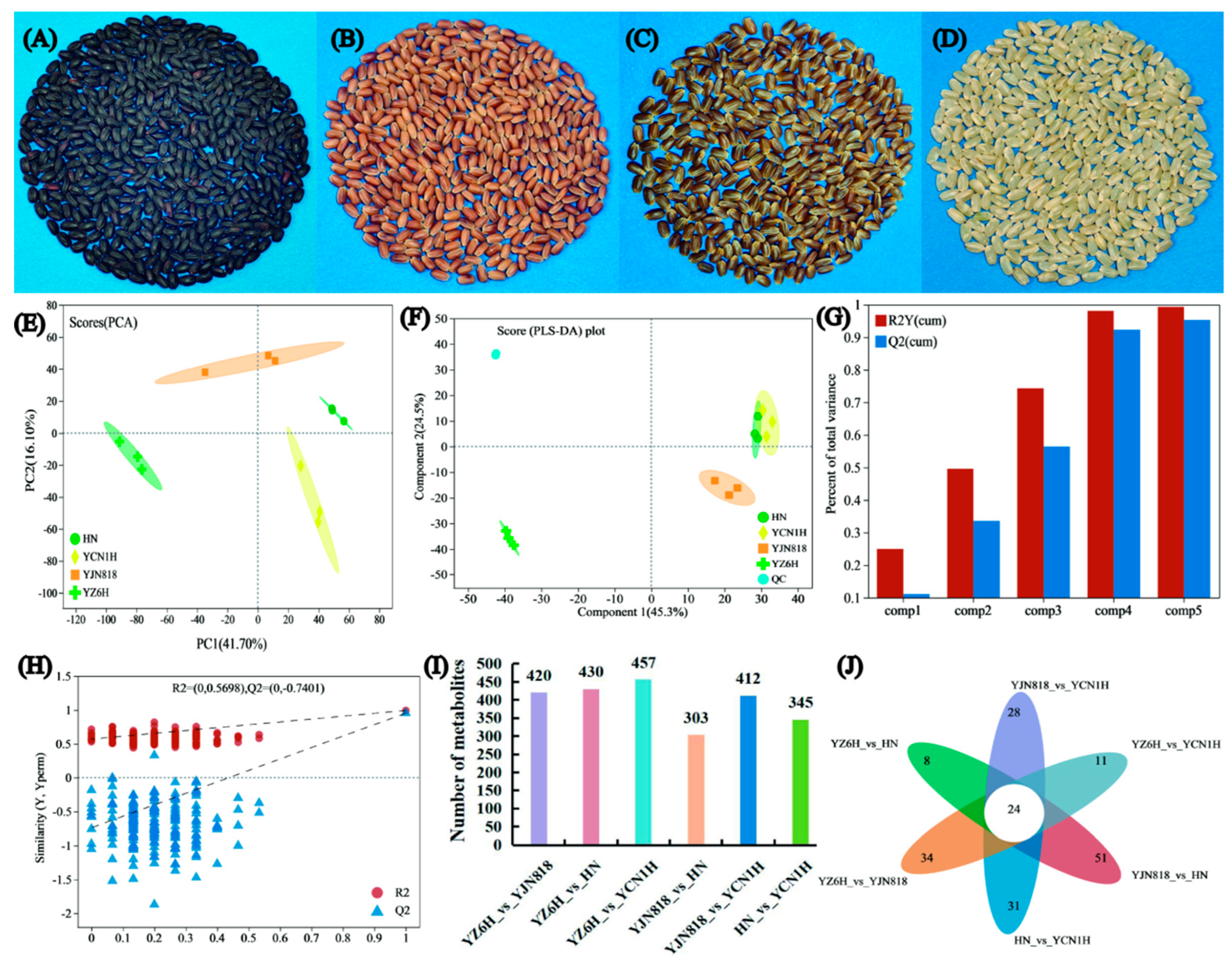 Metabolites 14 00120 g002