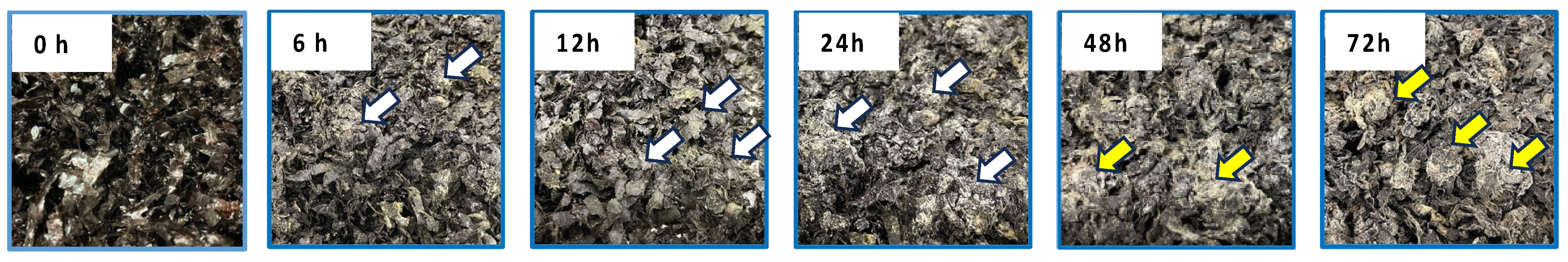 Metabolites 14 00201 g001