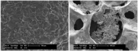 Metals 01 00049f10 200