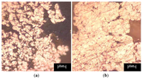 Metals 02 00265 g003 200