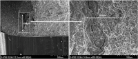 Metals 02 00411 g010 200