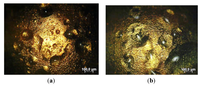 Metals 02 00450 g015 200