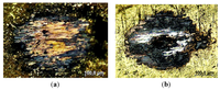 Metals 02 00450 g029 200