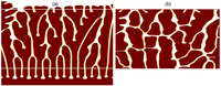 Metals 04 00155 g004 200