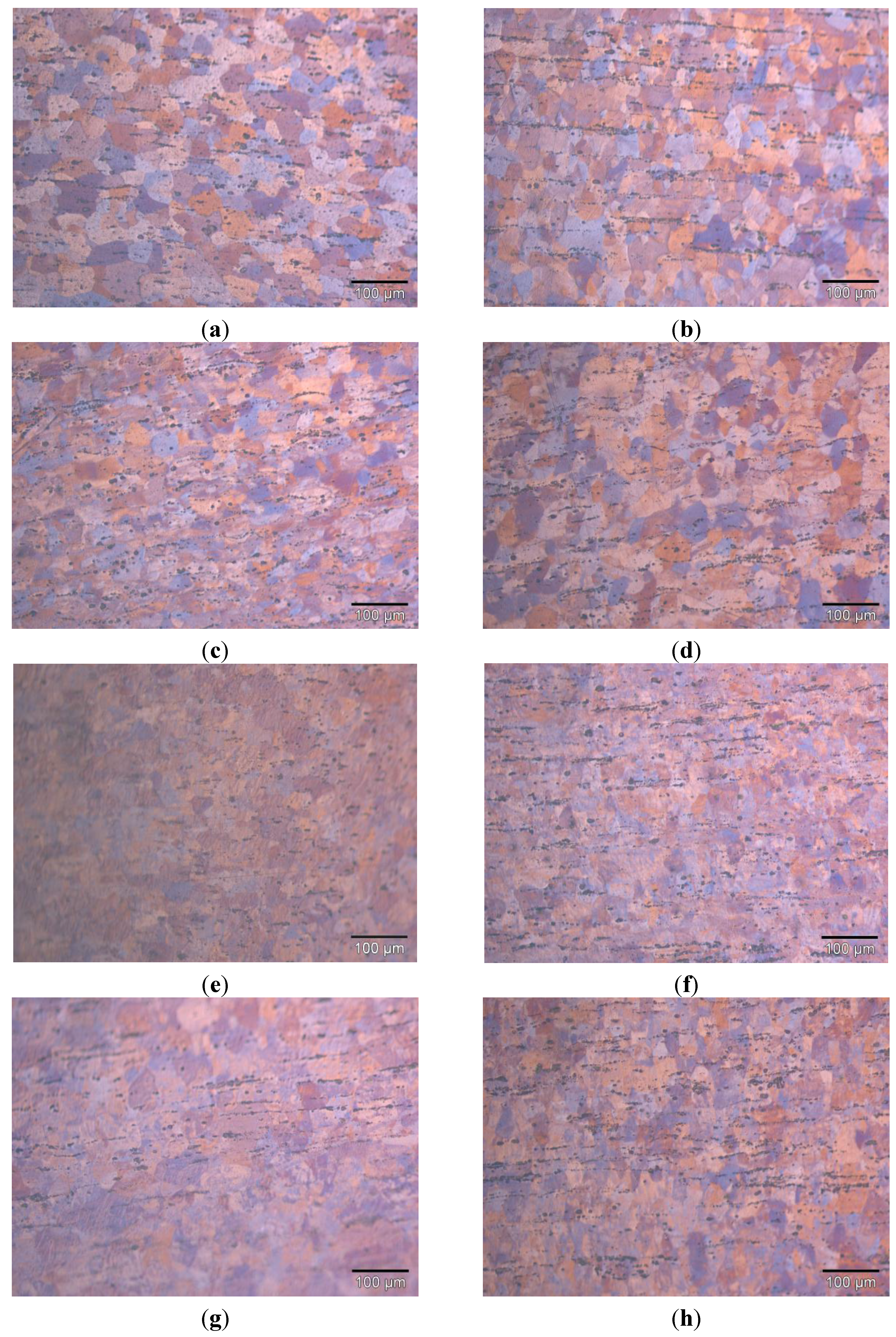 Metals 05 01397 g012