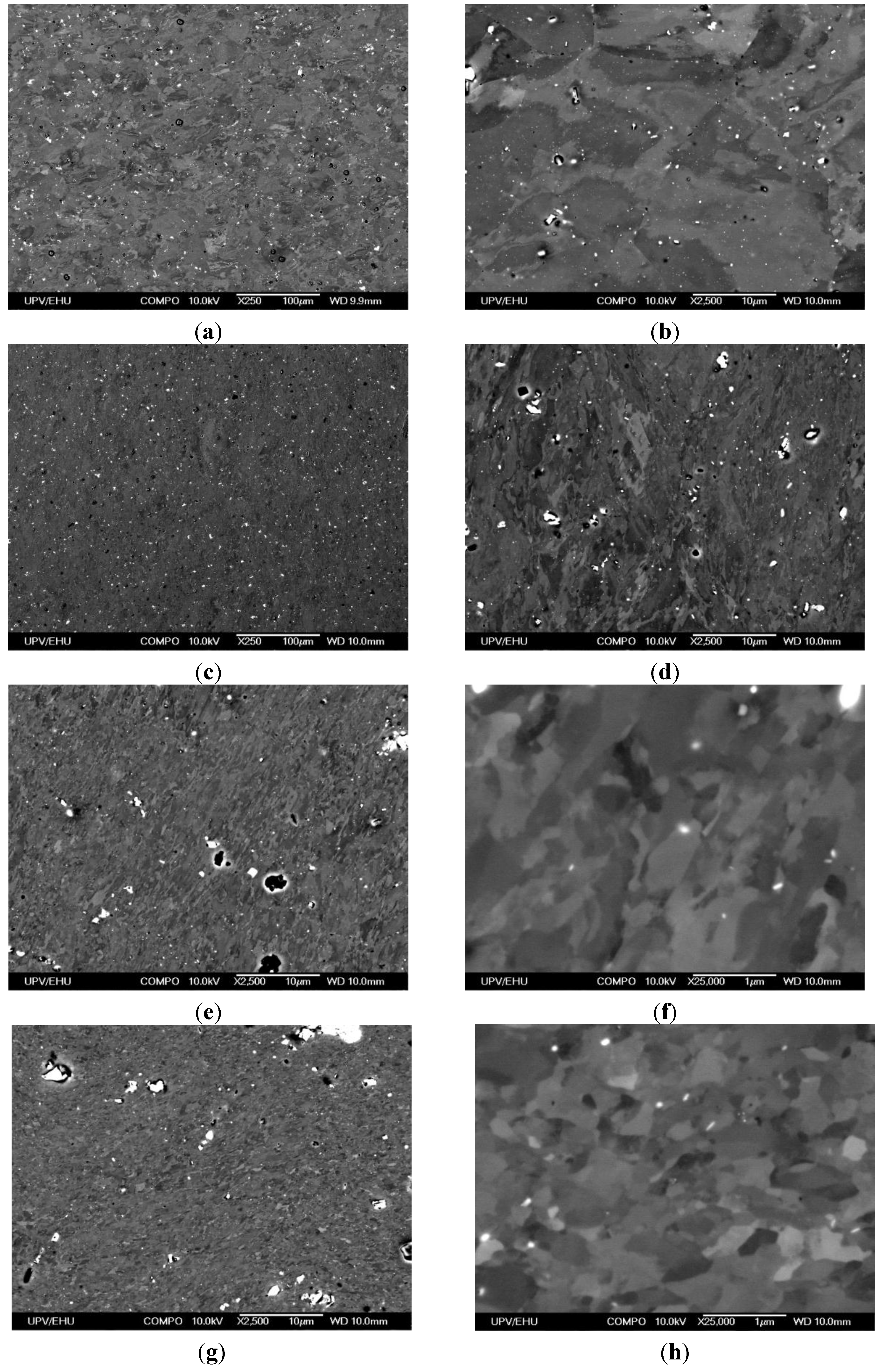 Metals 05 01397 g013a