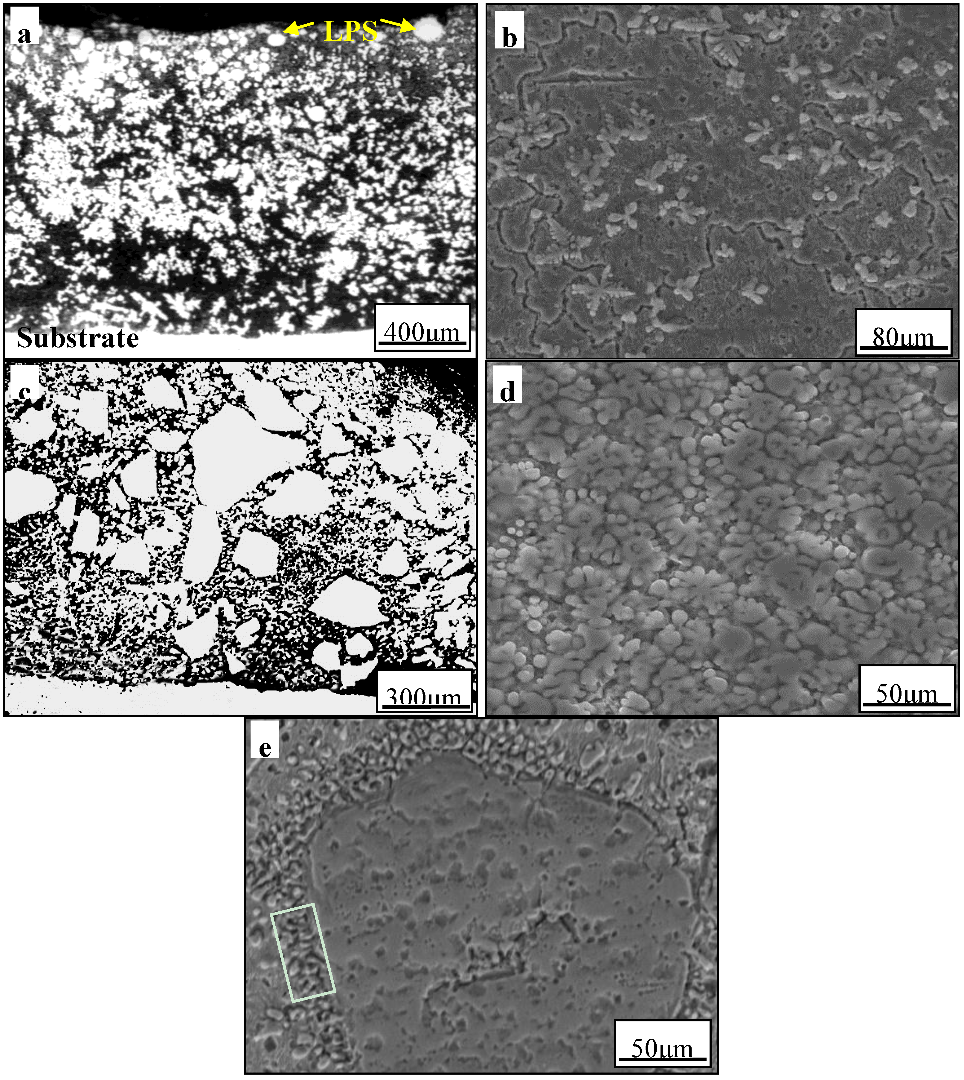 Metals 05 02119 g002