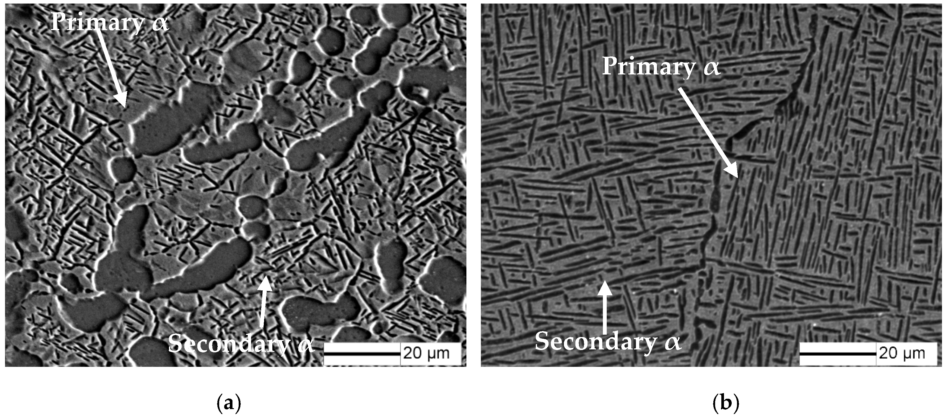 Metals 06 00186 g001