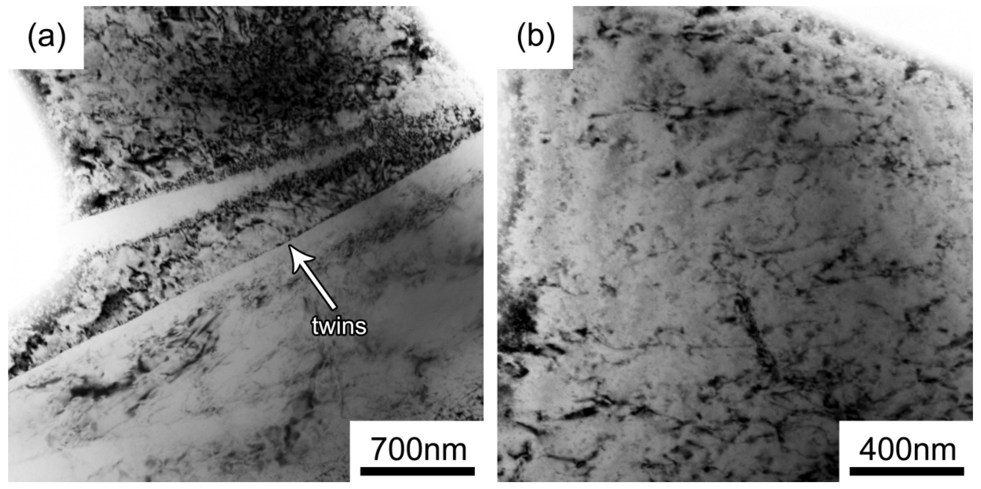 Metals 06 00196 g004