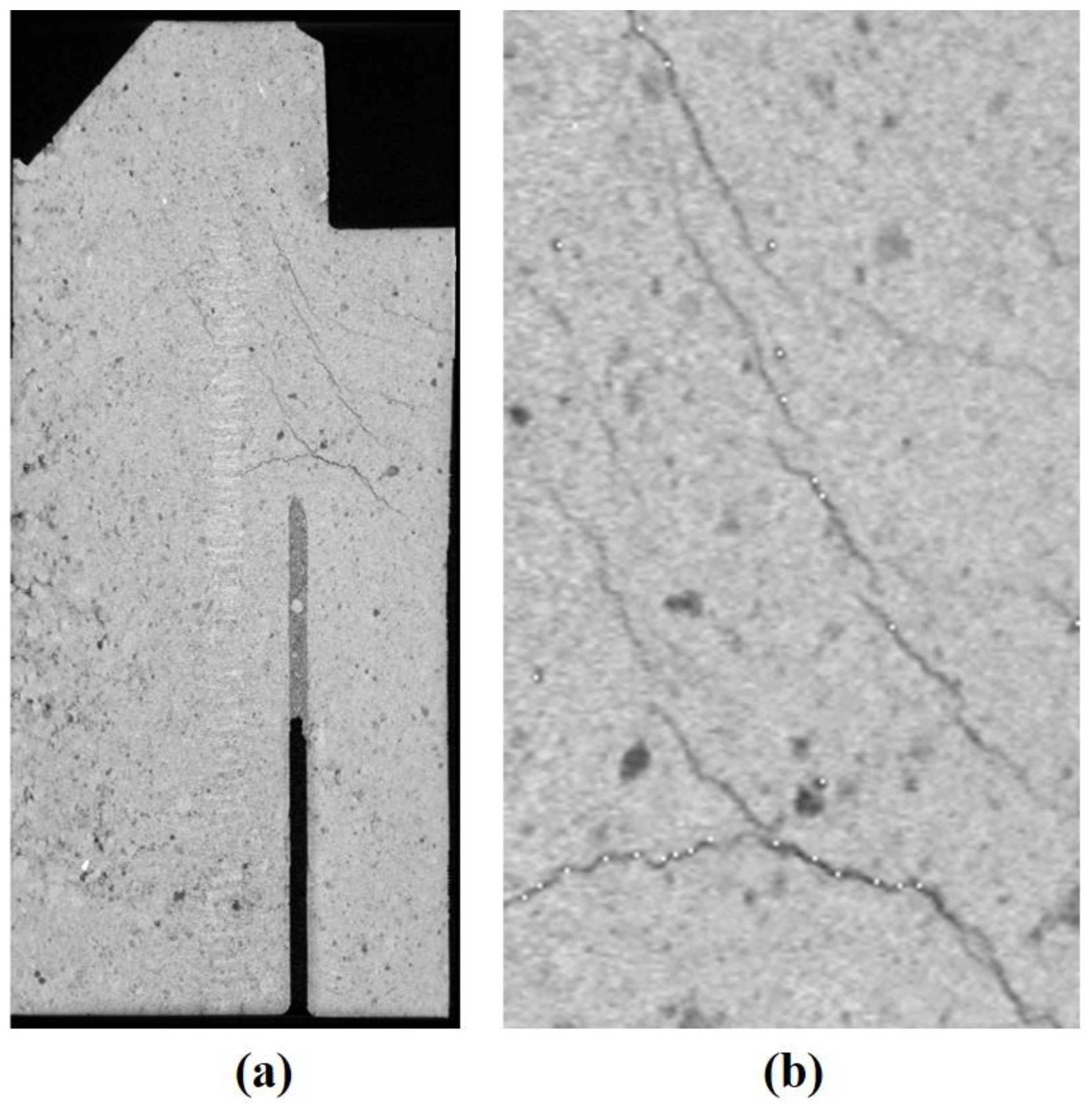 Metals Free FullText Crack Detection Method Applied to 3D Computed Tomography Images of