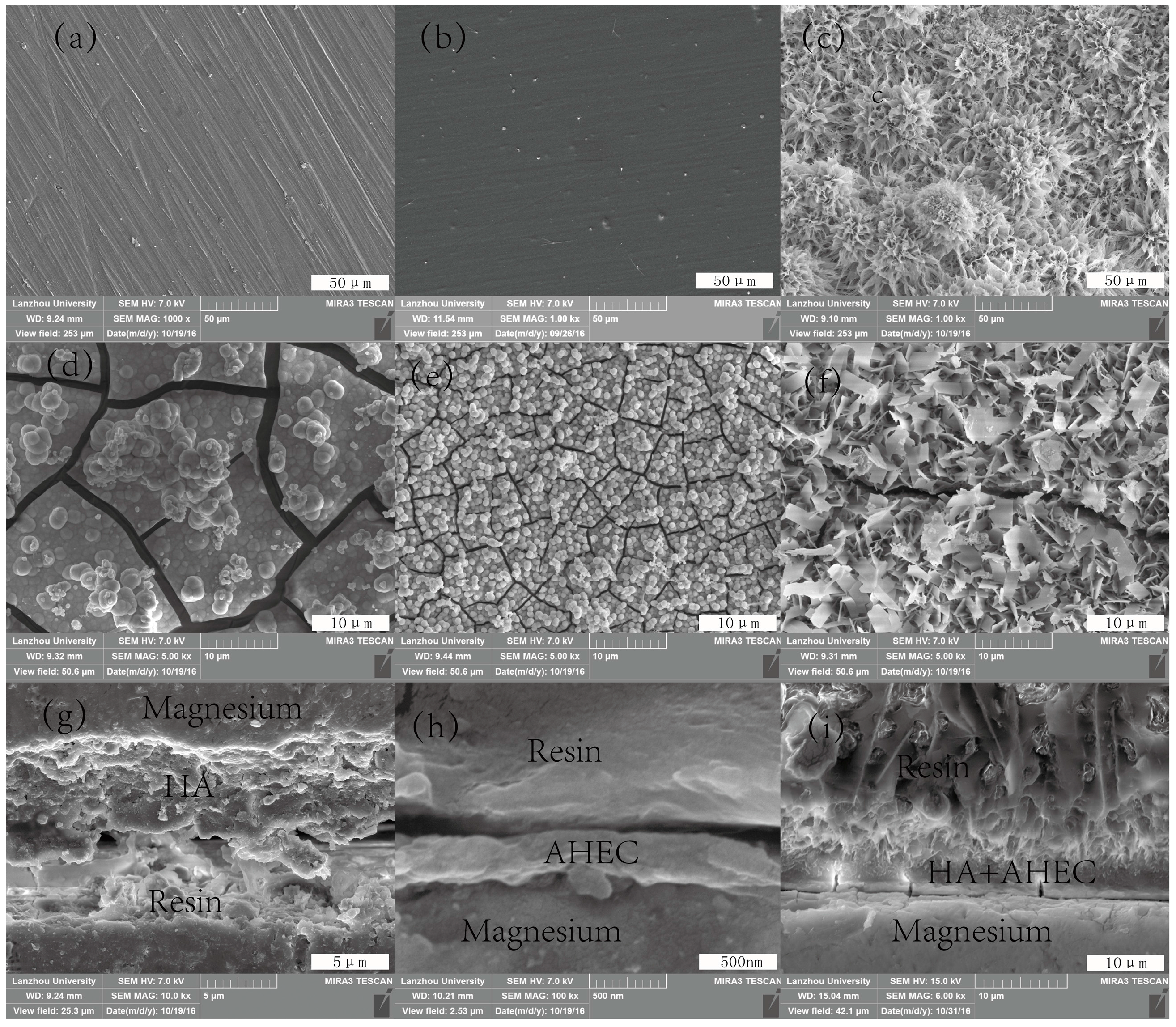 Metals 07 00214 g001