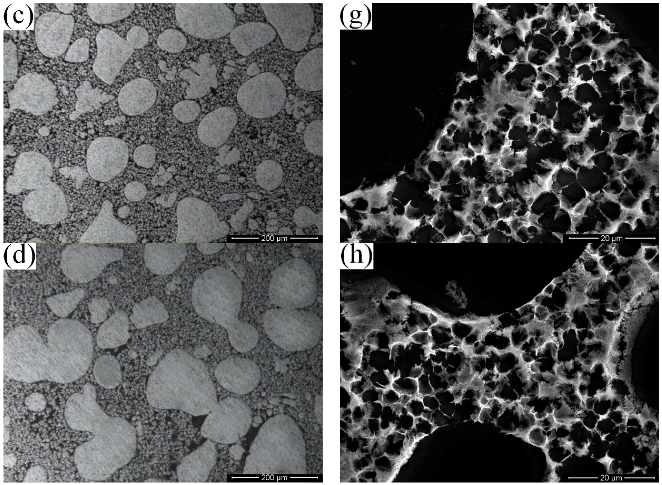 Metals 07 00233 g004b