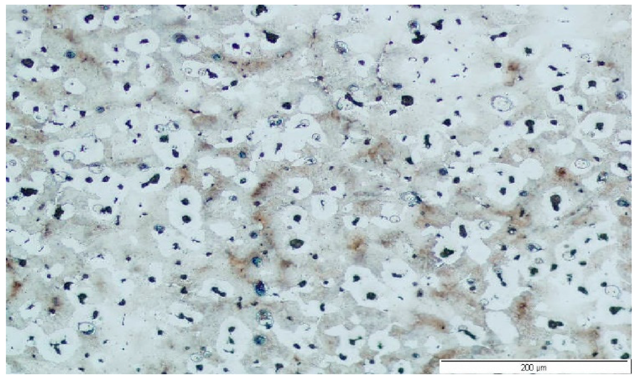 Metals 08 00072 g001