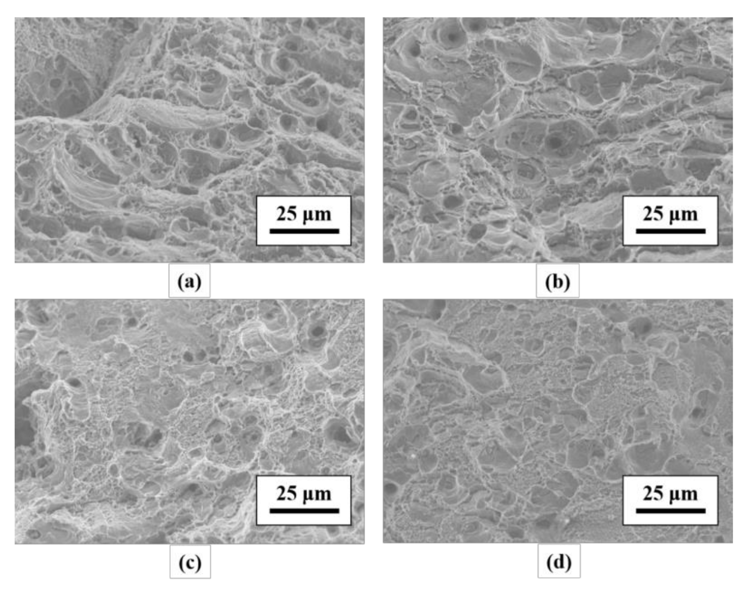 Metals 08 00239 g013