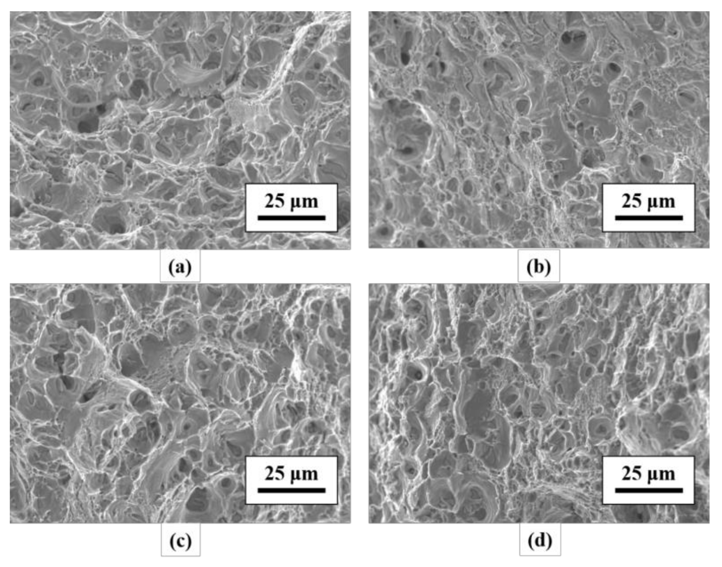 Metals 08 00239 g014