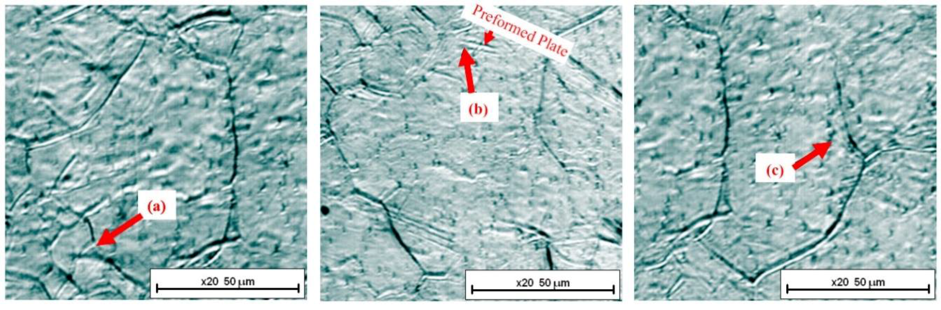 Metals 08 00498 g002