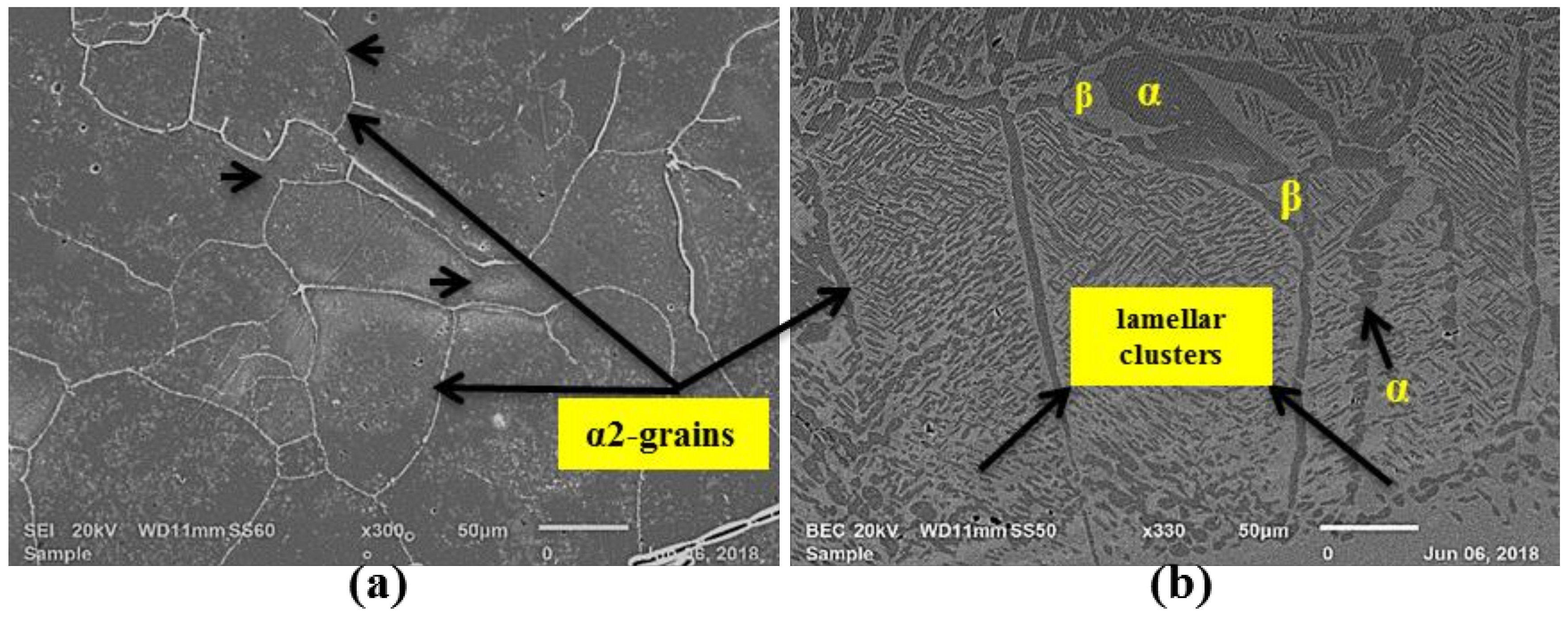 Metals 08 00655 g004