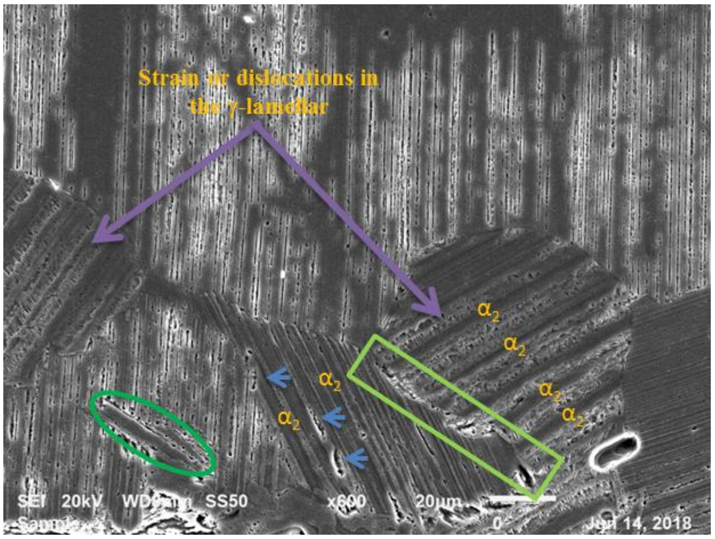 Metals 08 00655 g006