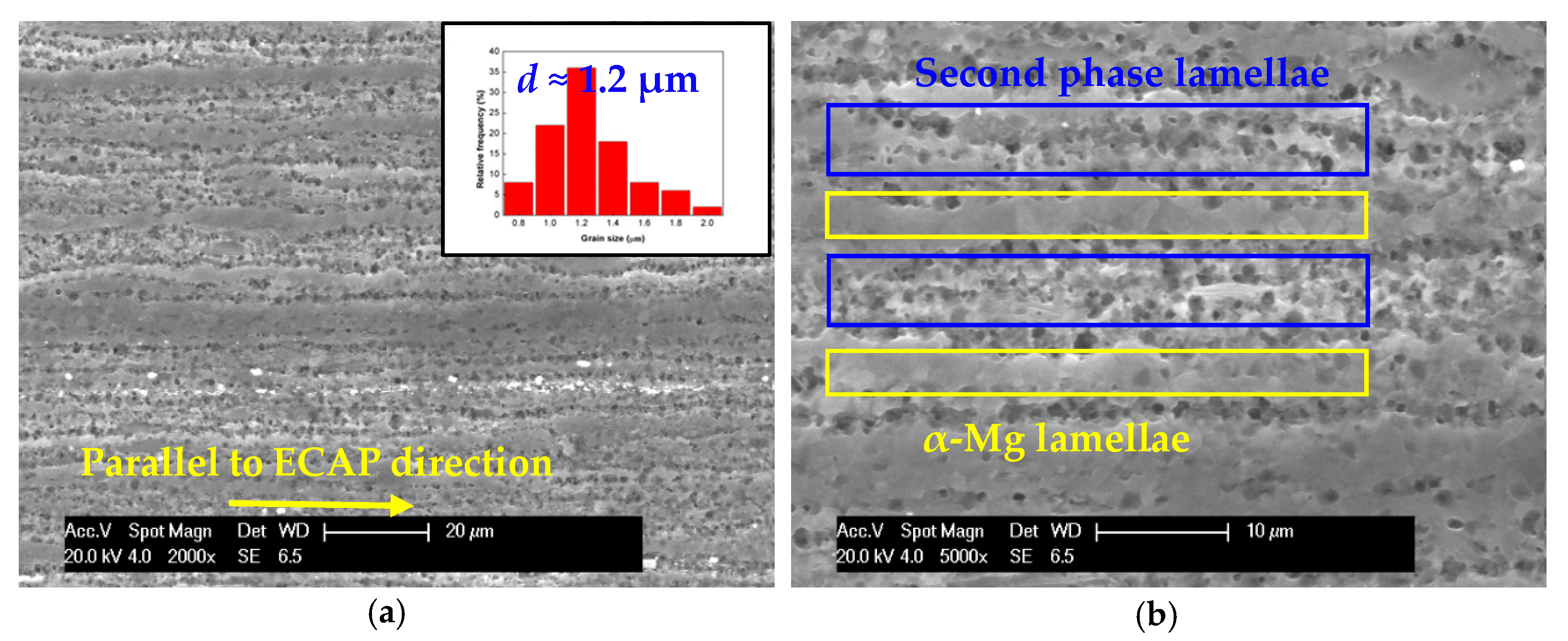 Metals 08 00658 g003