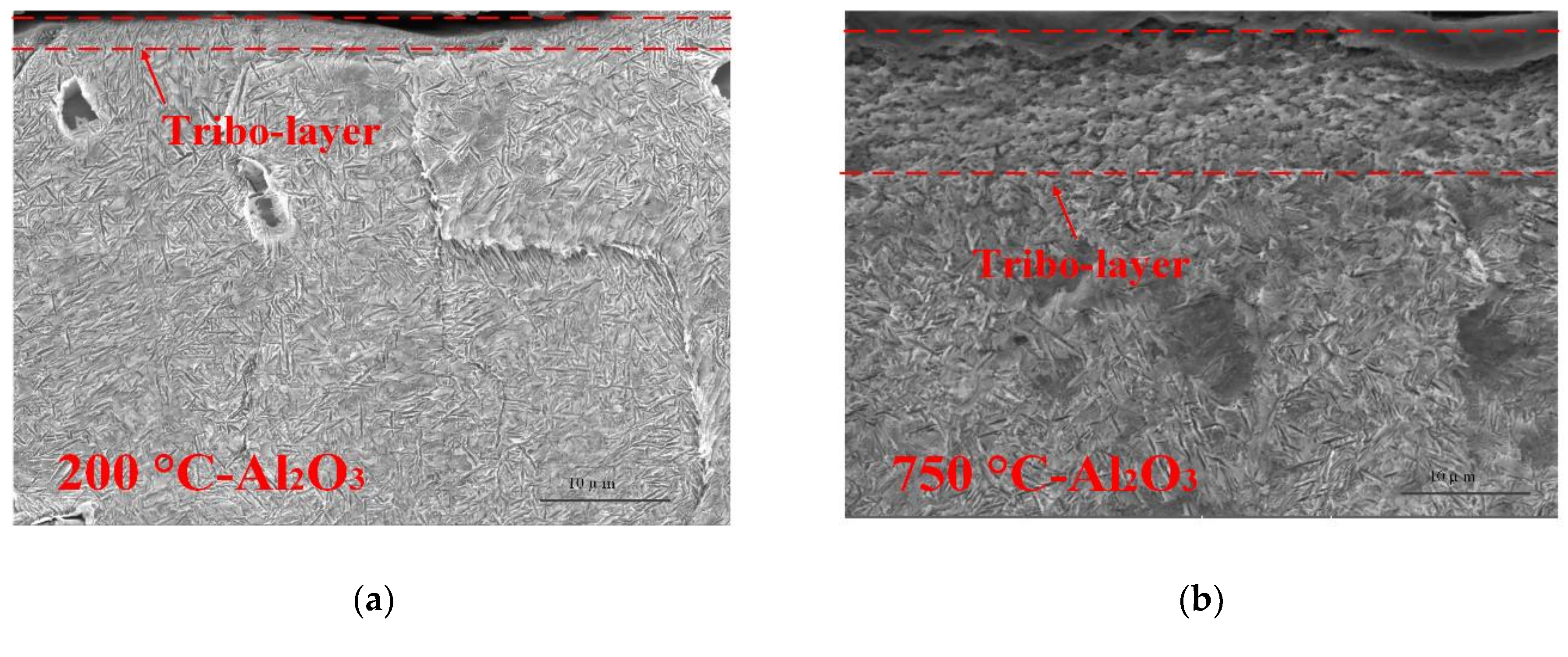 Metals 09 00005 g010a