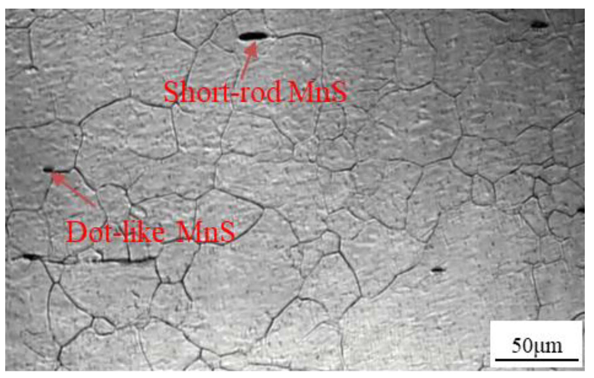 Metals 10 01587 g001