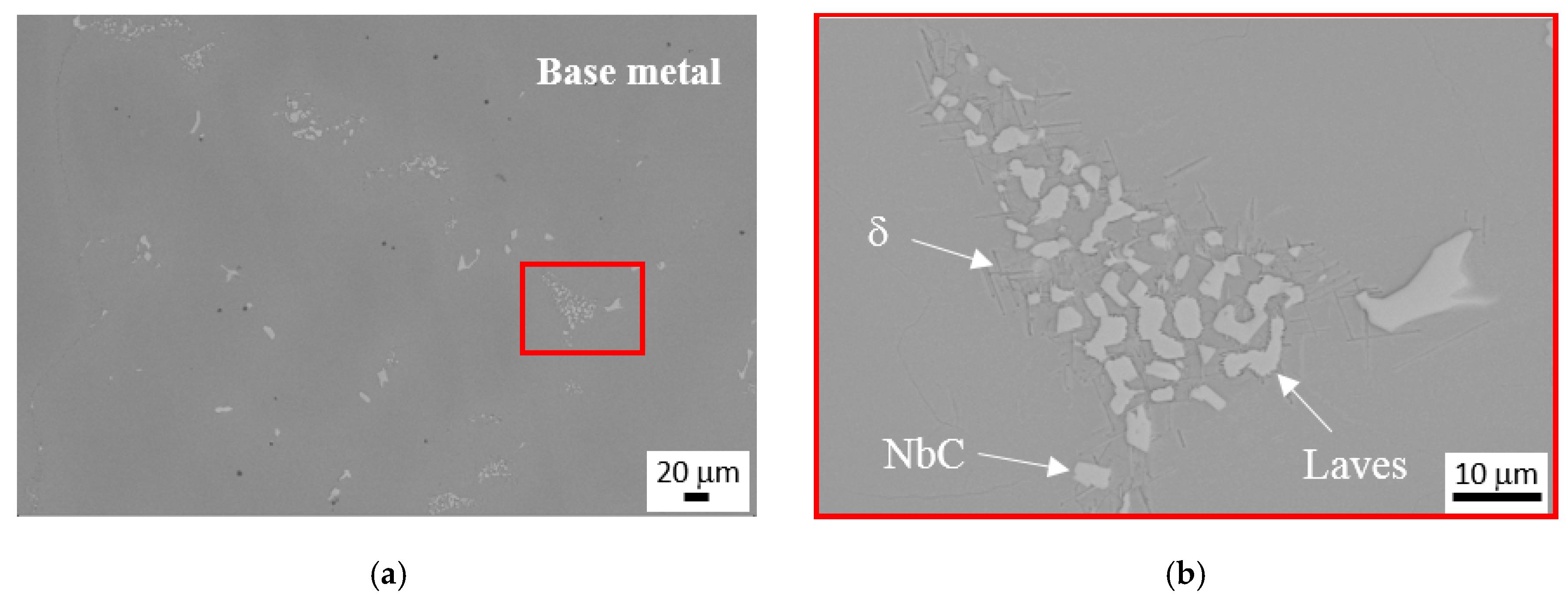 Metals 11 00402 g013a