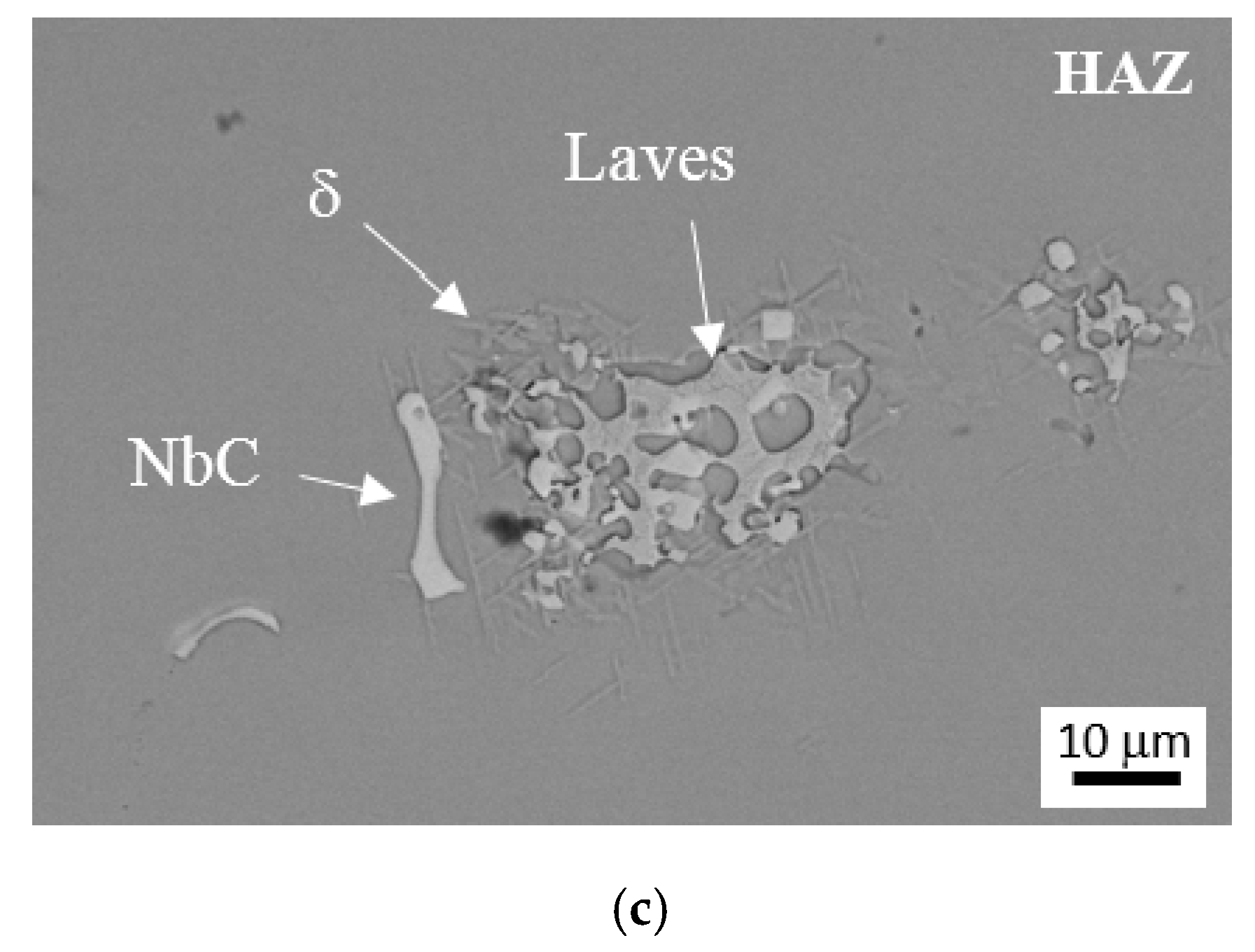 Metals 11 00402 g013b