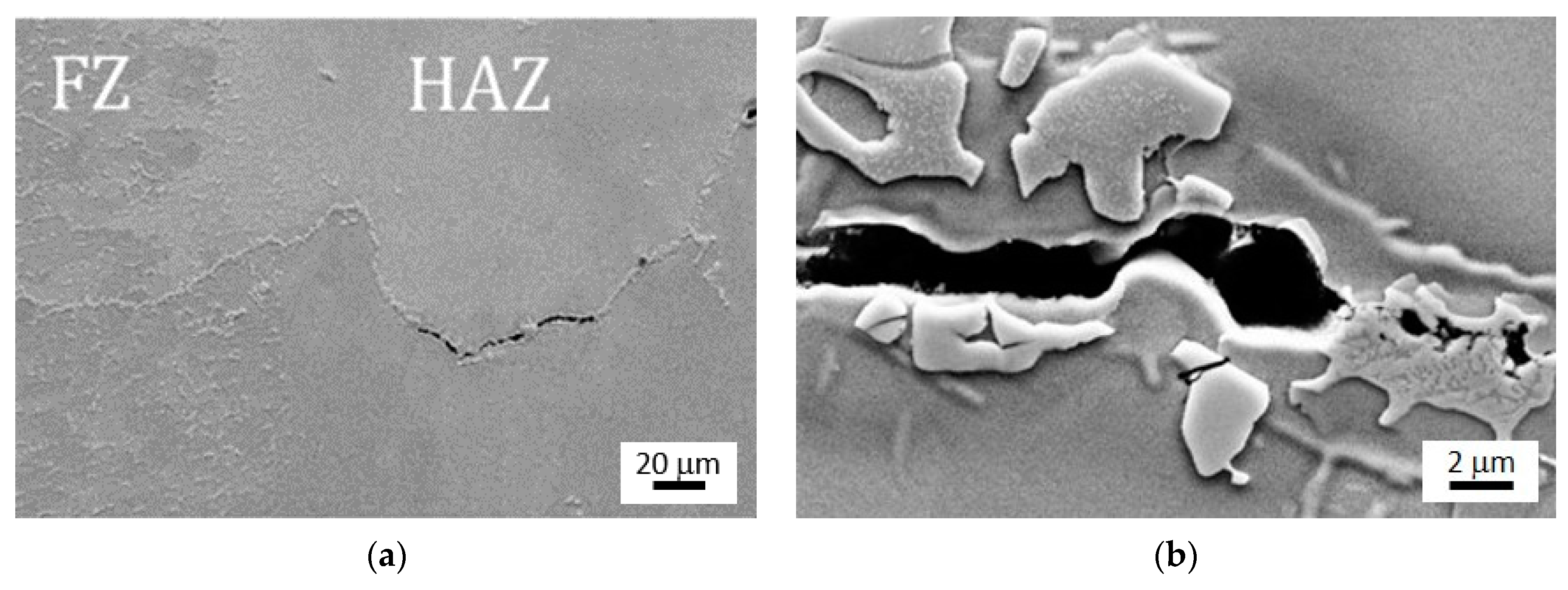 Metals 11 00402 g015