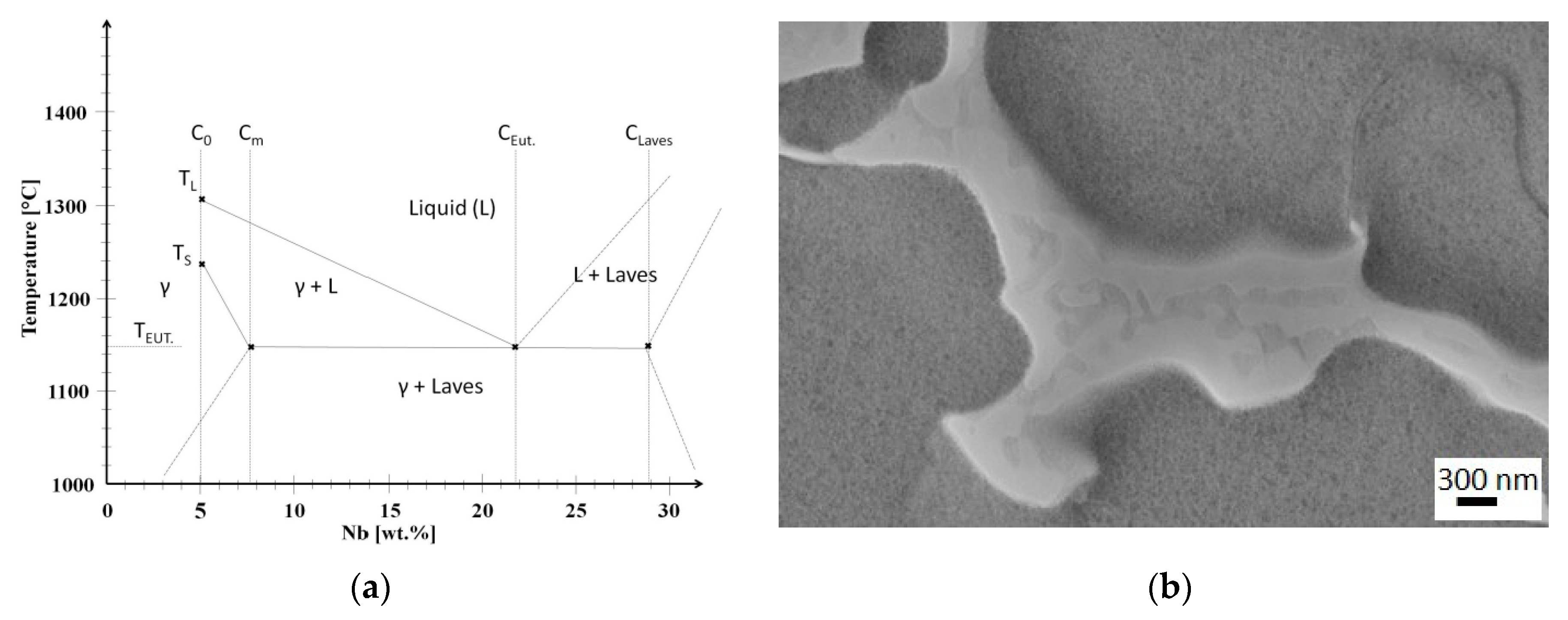 Metals 11 00402 g016