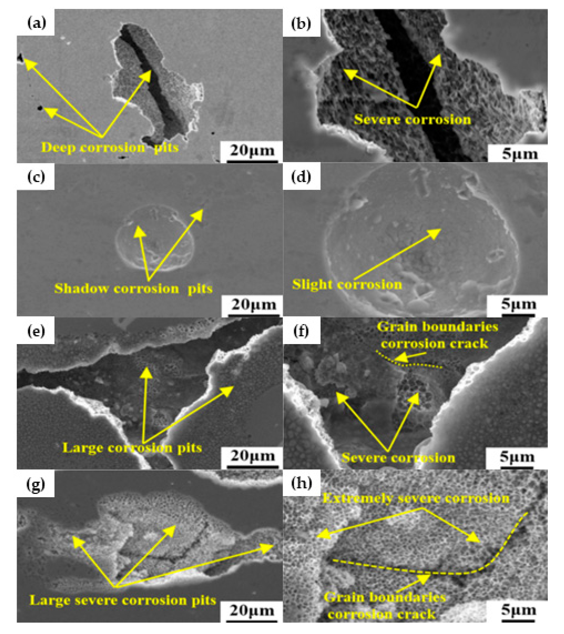 Metals 11 00516 g006